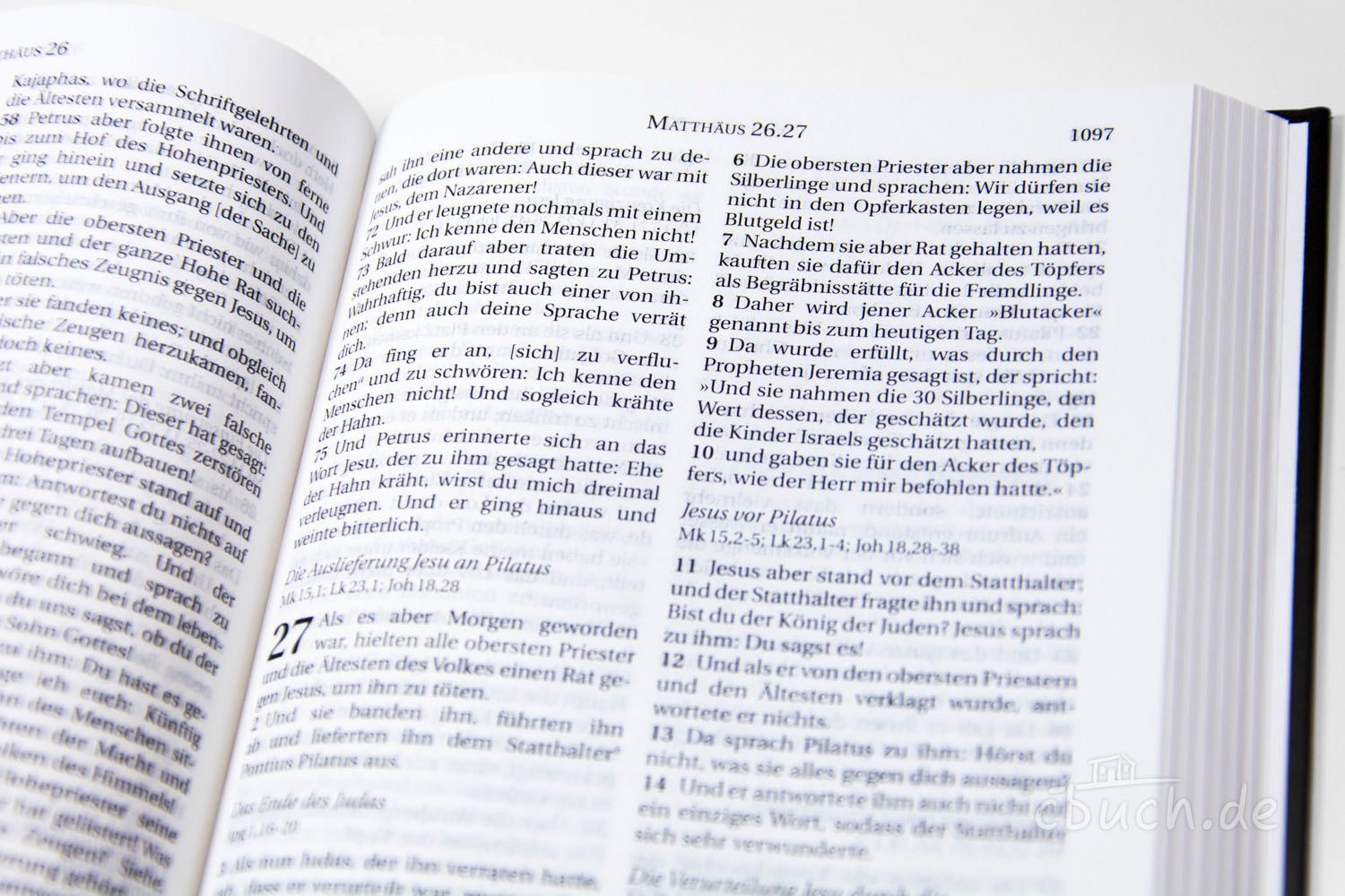 Schlachter 2000 Bibel - klassischer fester Einband Schlachter 2000 Bibel - klassischer fester Einband