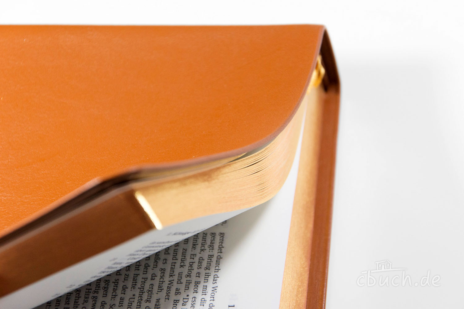 Elberfelder Bibel Edition CSV - Schreibrandbibel, größere Ausgabe, Rindleder, hellbraun Elberfelder Bibel Edition CSV - Schreibrandbibel, größere Ausgabe, Rindleder, hellbraun
