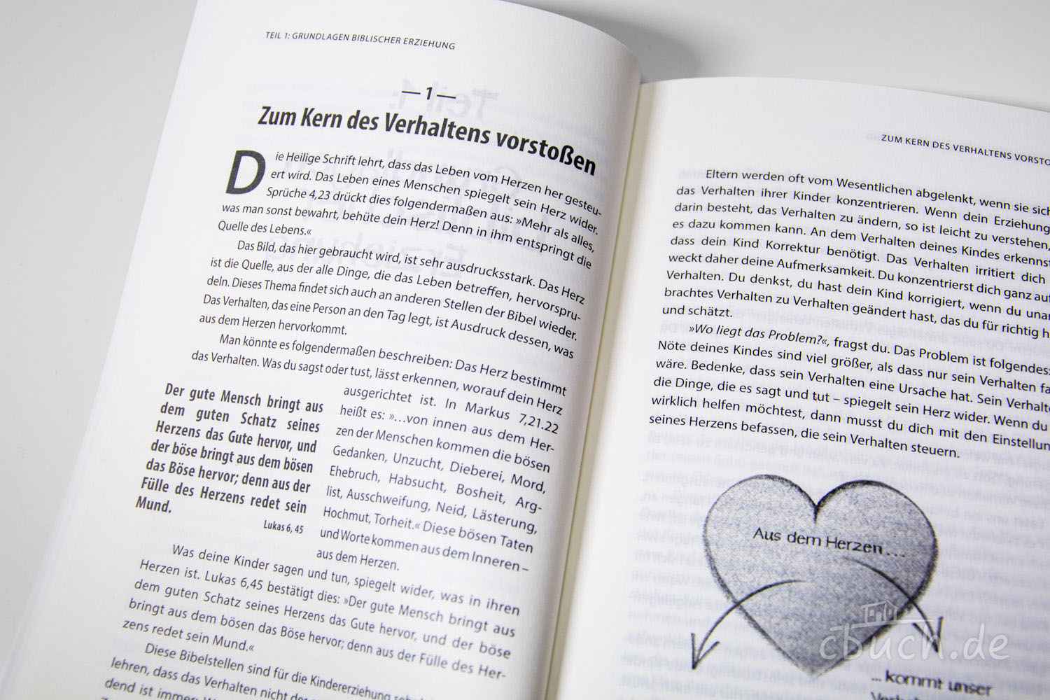 Tripp: Kinderherzen erziehen Tripp: Kinderherzen erziehen
