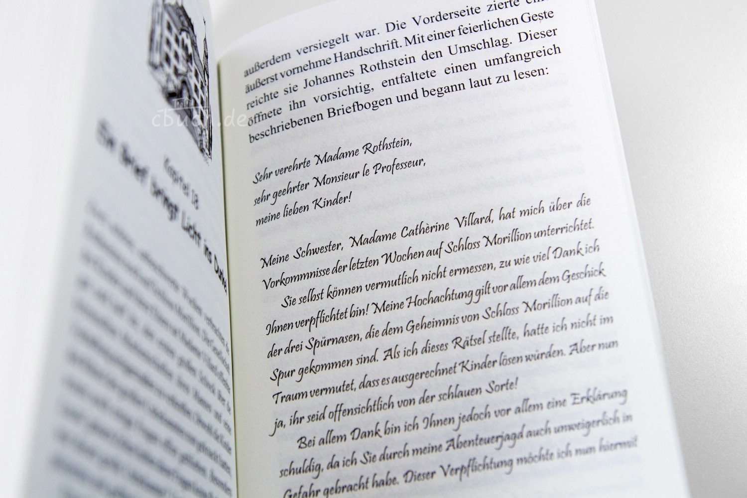 Hillebrenner: Das Geheimnis von Schloss Morillion Hillebrenner: Das Geheimnis von Schloss Morillion