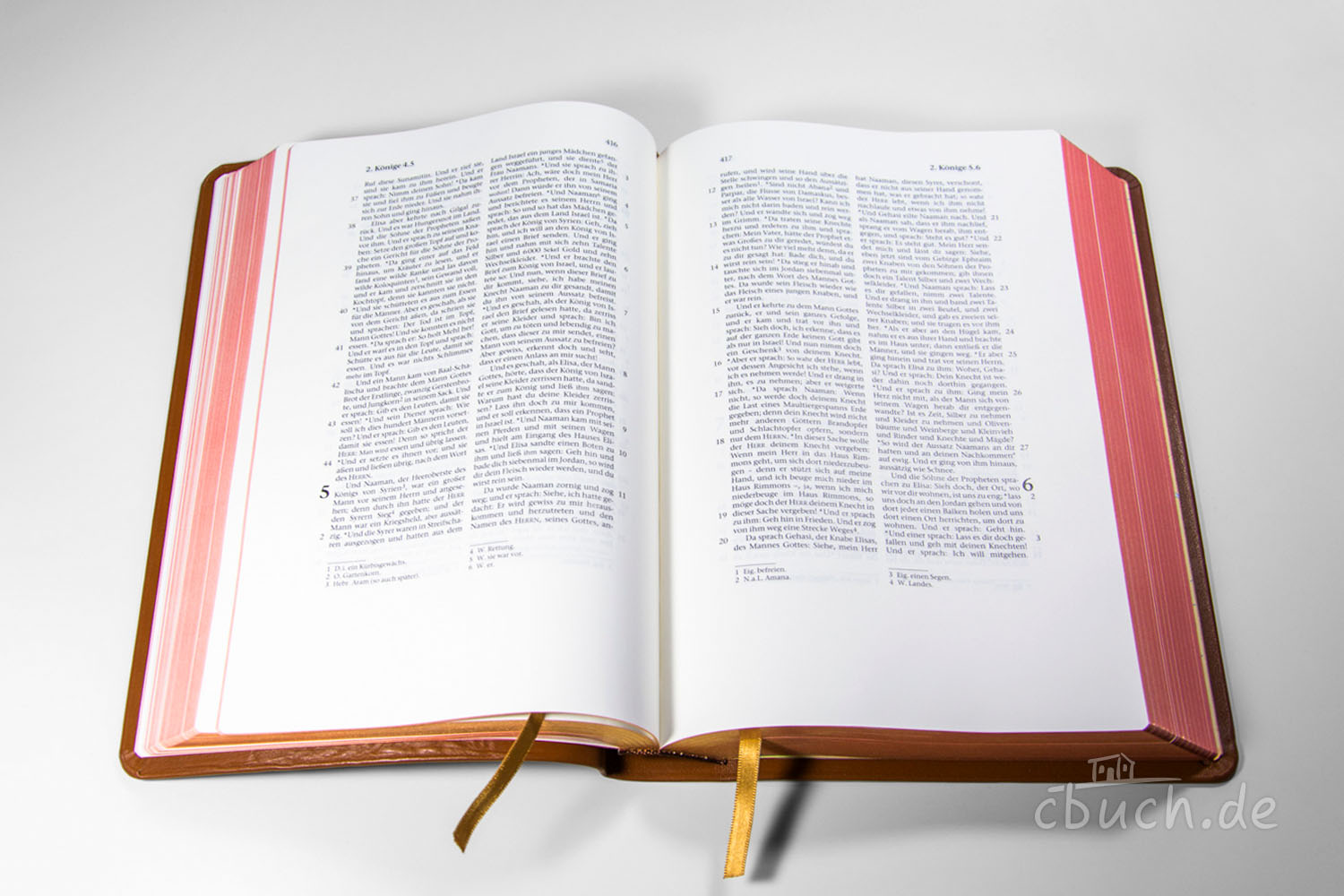Elberfelder Bibel Edition CSV - Schreibrandbibel, größere Ausgabe, Rindleder, hellbraun Elberfelder Bibel Edition CSV - Schreibrandbibel, größere Ausgabe, Rindleder, hellbraun