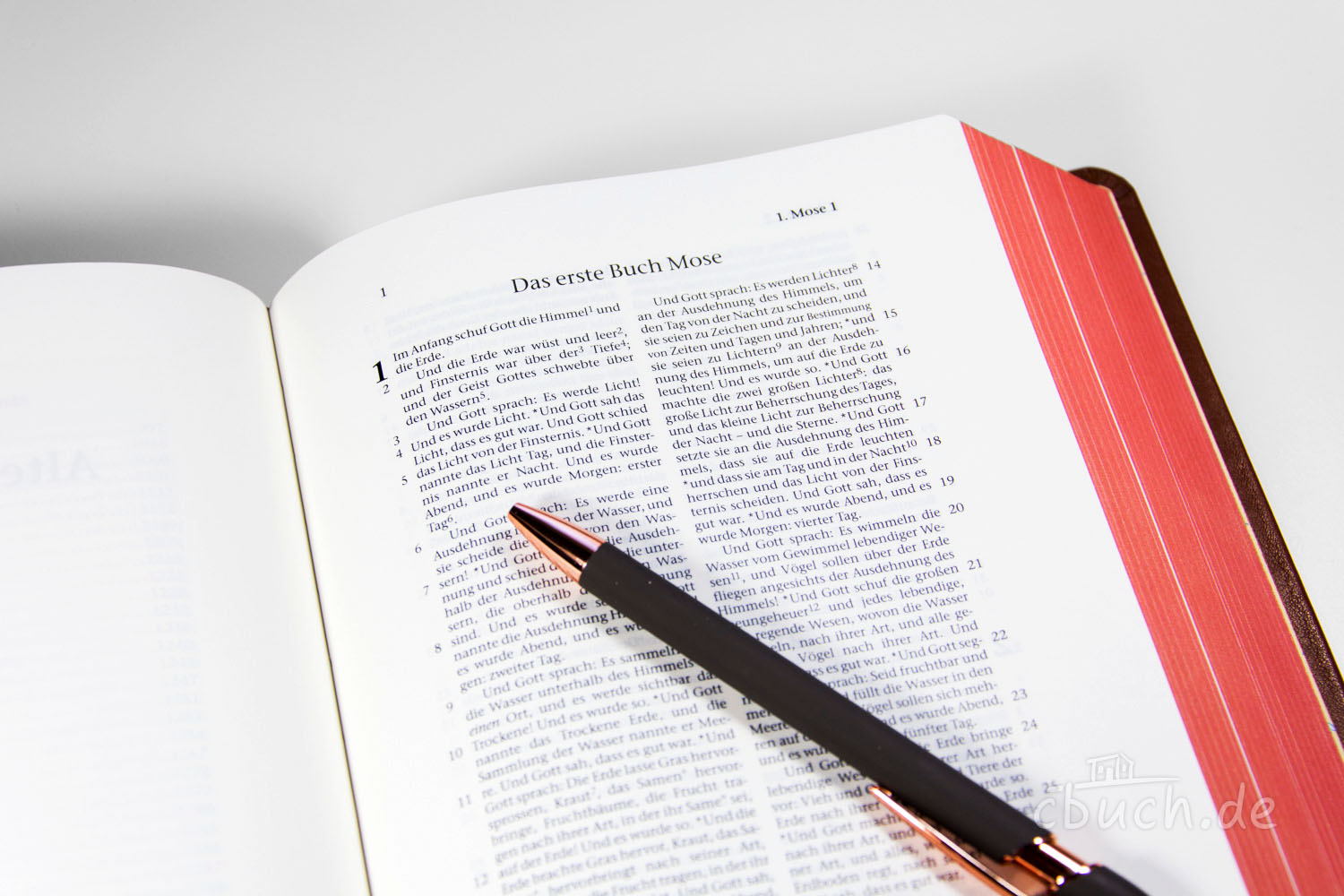 Elberfelder Bibel Edition CSV - Schreibrandbibel, größere Ausgabe, Rindleder, hellbraun Elberfelder Bibel Edition CSV - Schreibrandbibel, größere Ausgabe, Rindleder, hellbraun