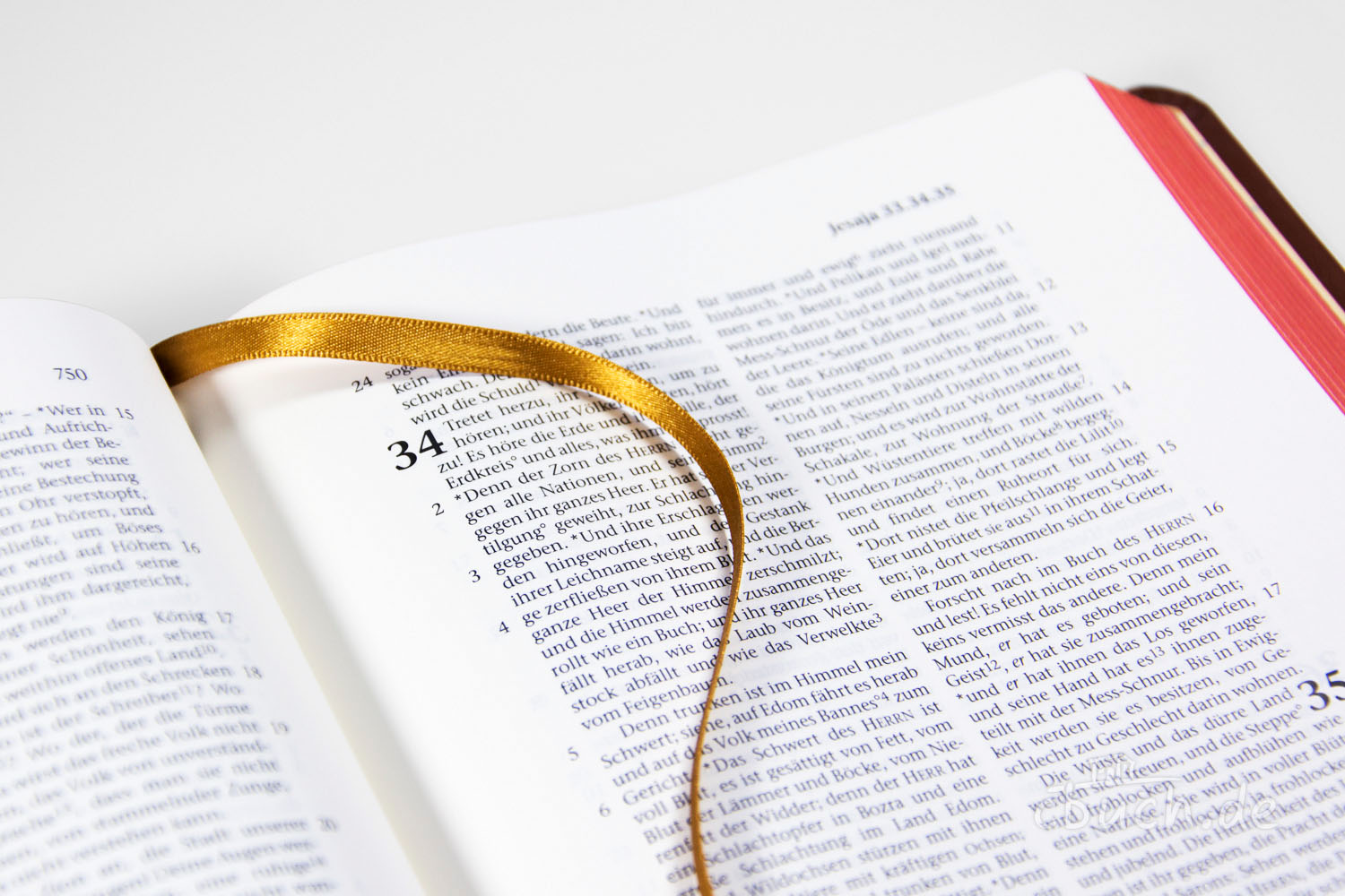 Elberfelder Bibel Edition CSV - Schreibrandbibel, größere Ausgabe, Rindleder, hellbraun Elberfelder Bibel Edition CSV - Schreibrandbibel, größere Ausgabe, Rindleder, hellbraun