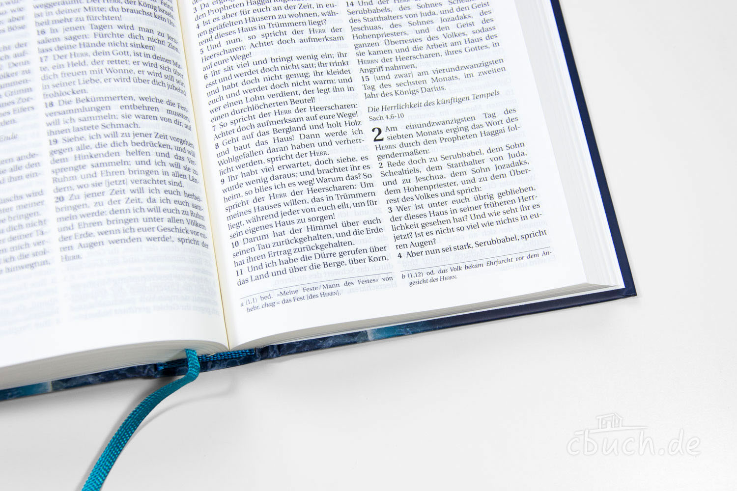 Schlachter 2000 Bibel - illustrierter fester Einband Schlachter 2000 Bibel - illustrierter fester Einband