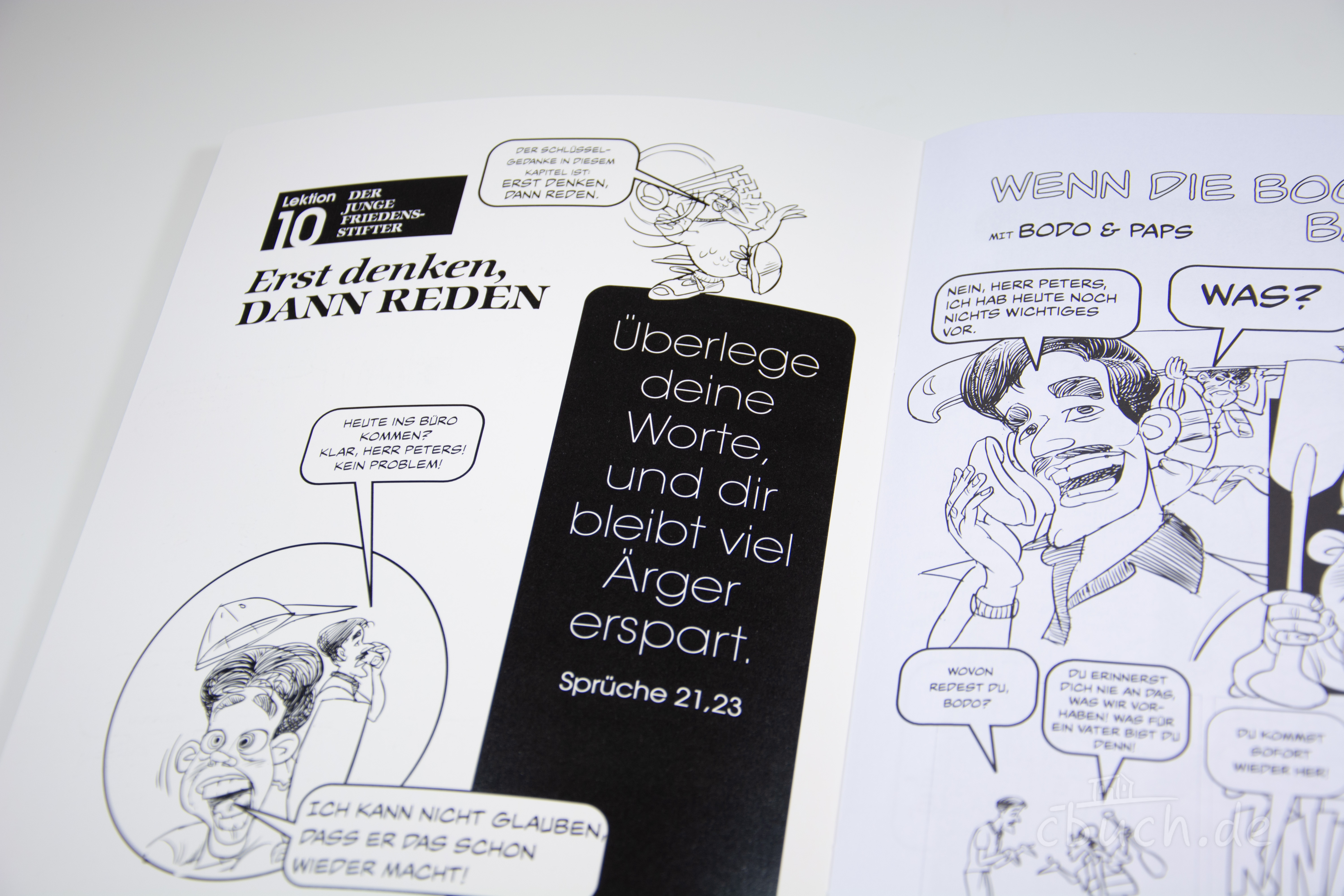 Handbuch für Friedensstifter - Comic Heft 10: Wenn die Bootsfahrt baden geht