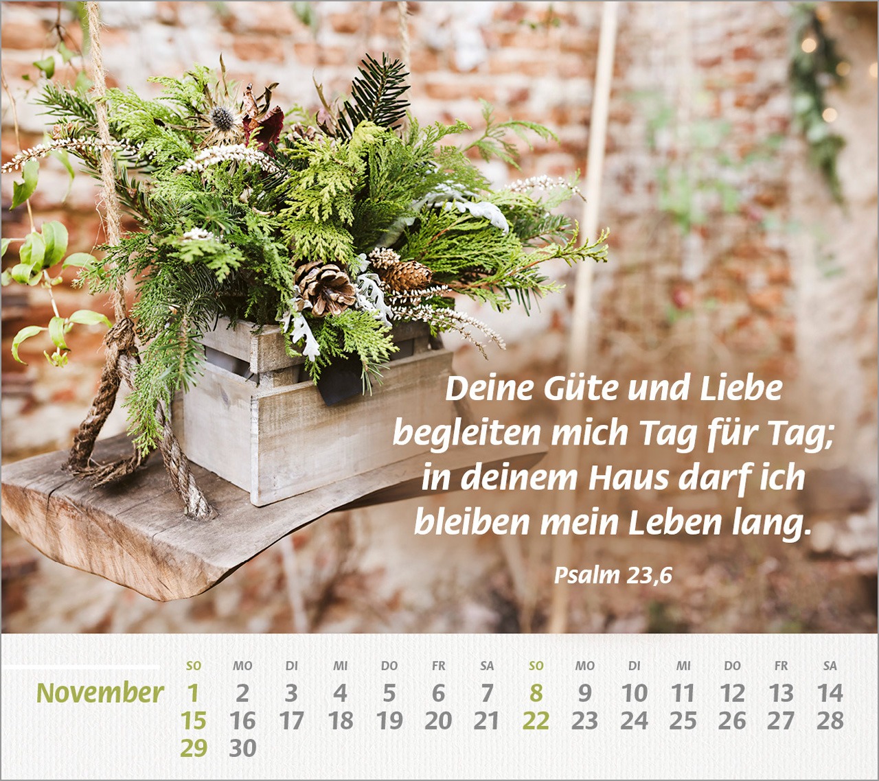 Holzbox mit grünen Pflanzen und Zapfen vor Backsteinwand mit