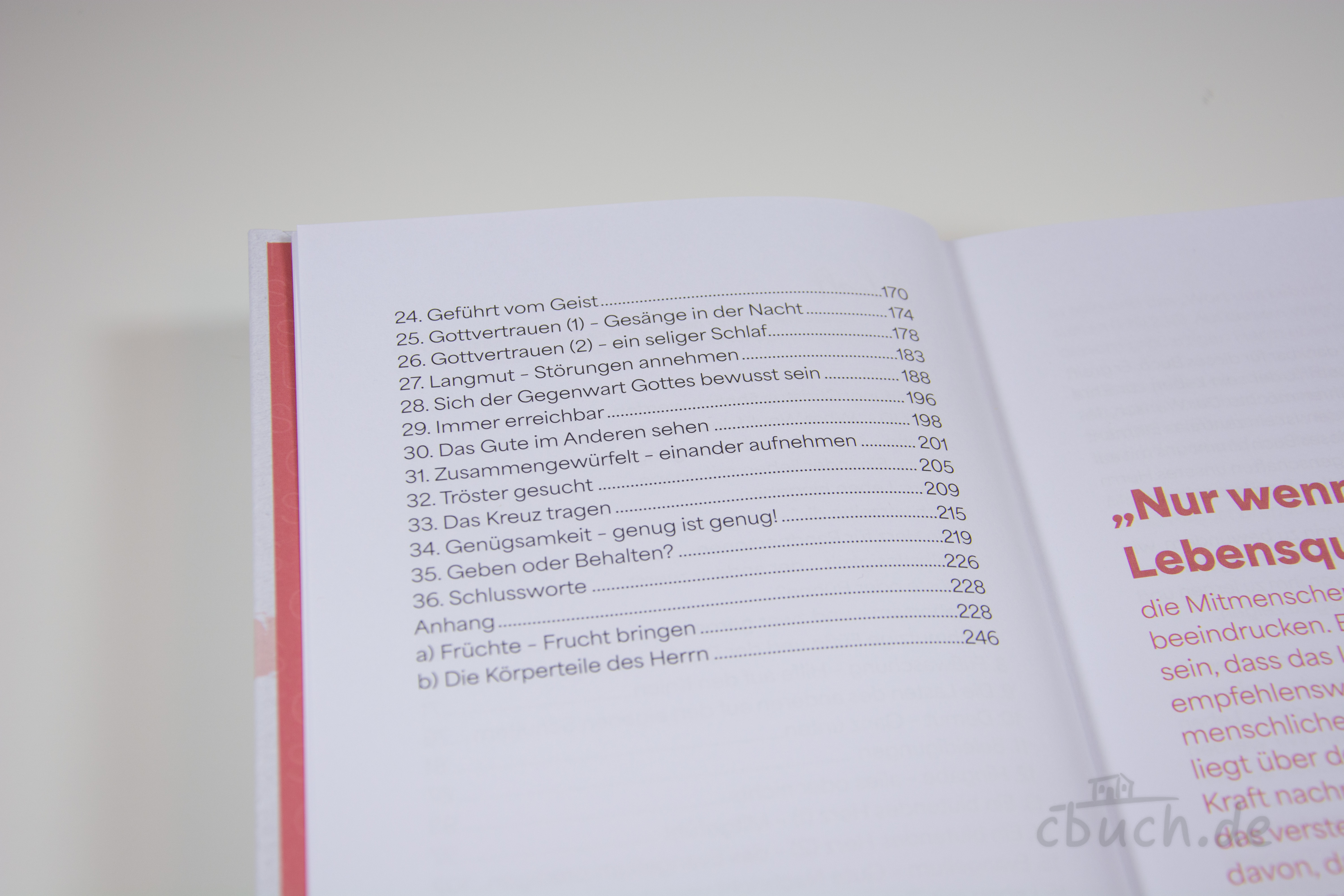 Aufgeschlagenes Buch „Christus ähnlich werden“ von Alexander Schneider, CSV, mit sichtbarem Inhaltsverzeichnis und christlichen Lebensthemen.