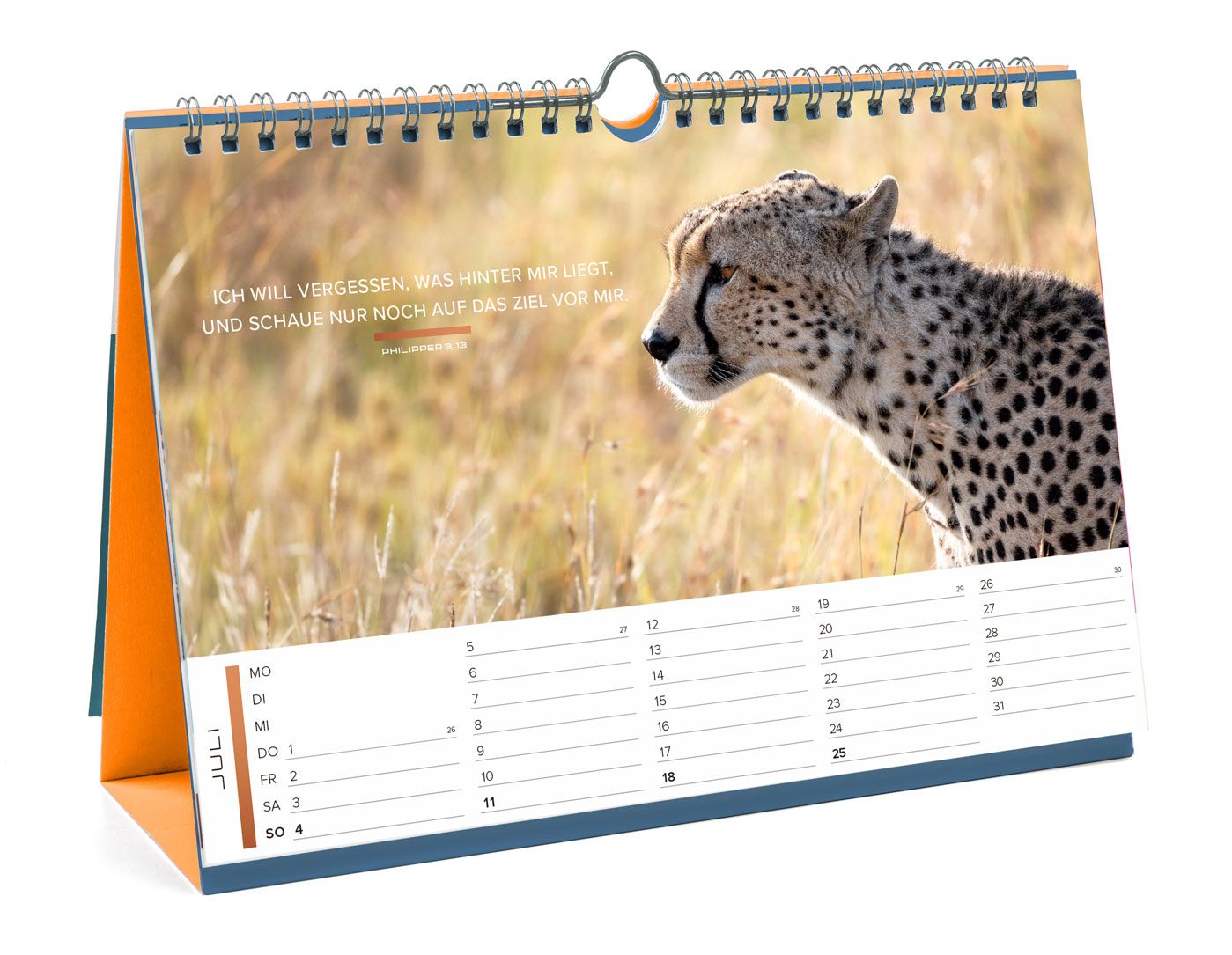 Life is more Panorama-Tischkalender 2027 - Verteilkalender Life is more Panorama-Tischkalender 2027 - Verteilkalender