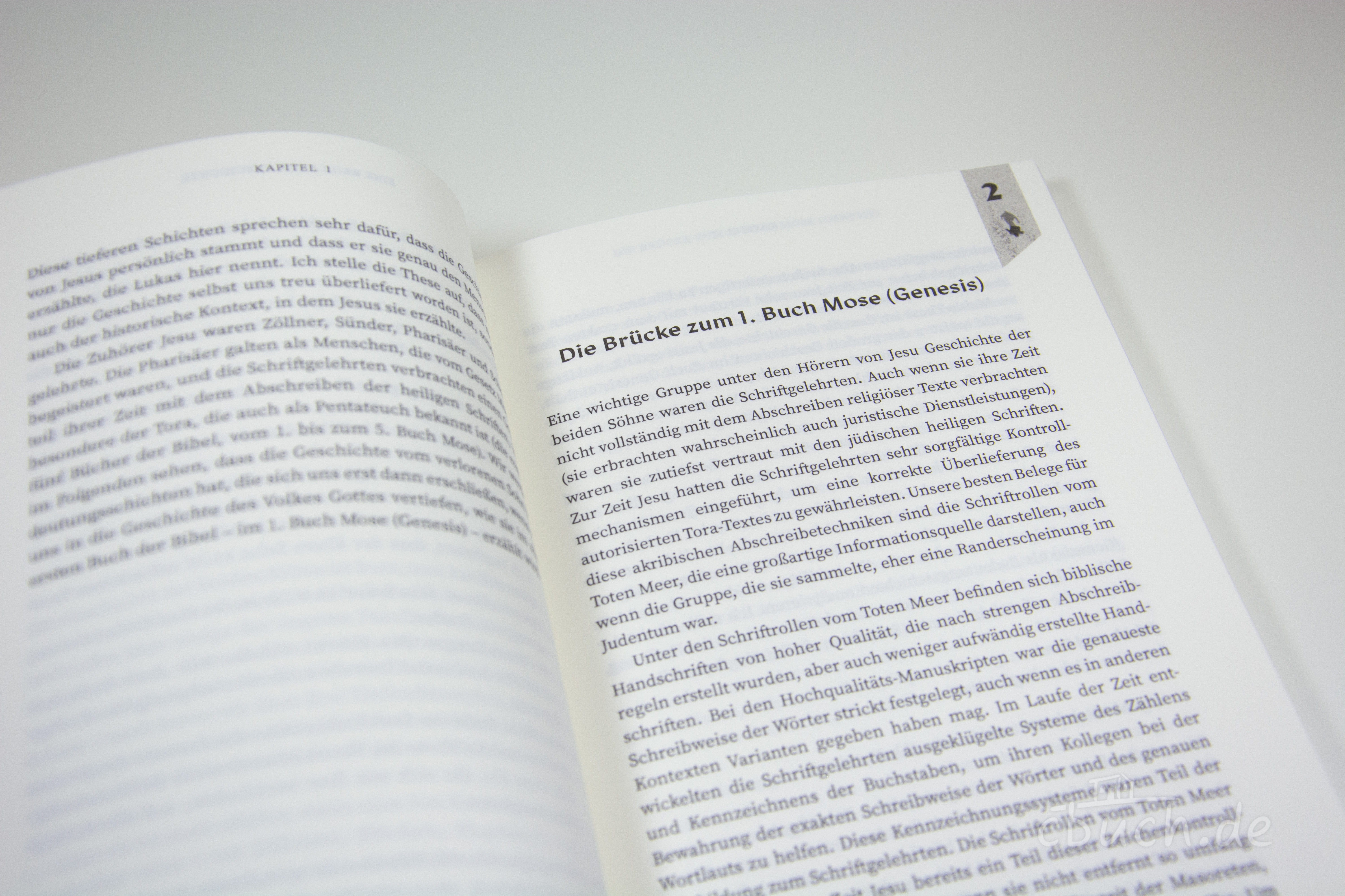 Williams: Die überraschende Genialität von Jesus Williams: Die überraschende Genialität von Jesus