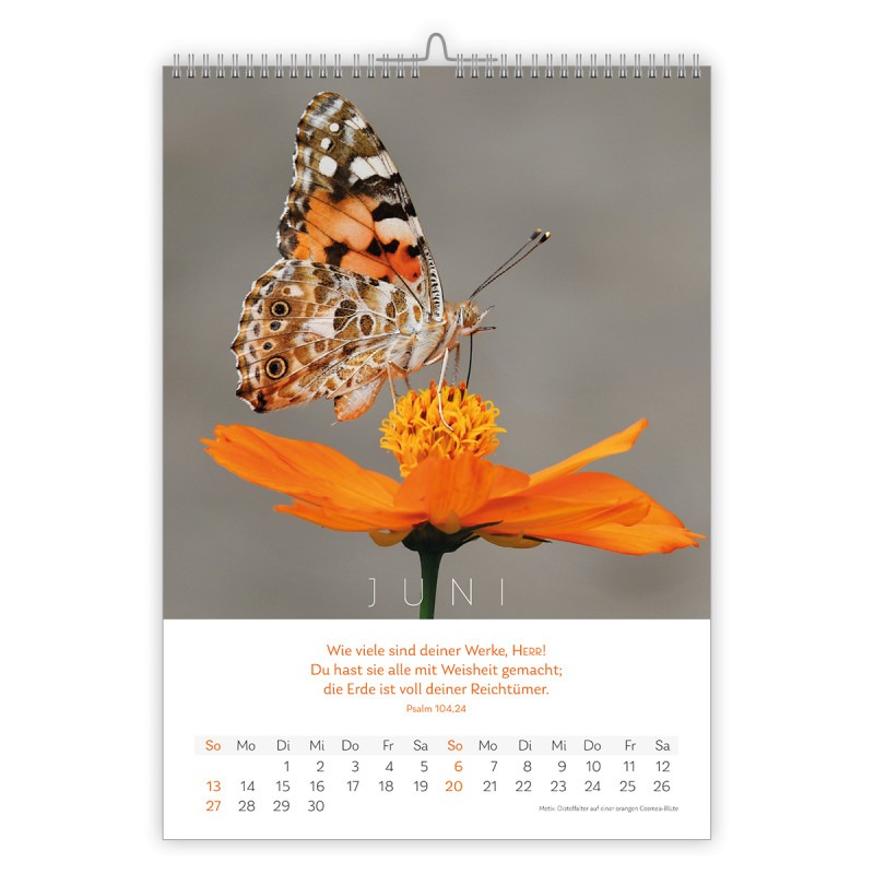 Natur Kalender 2027 - CSV Natur Kalender 2027 - CSV
