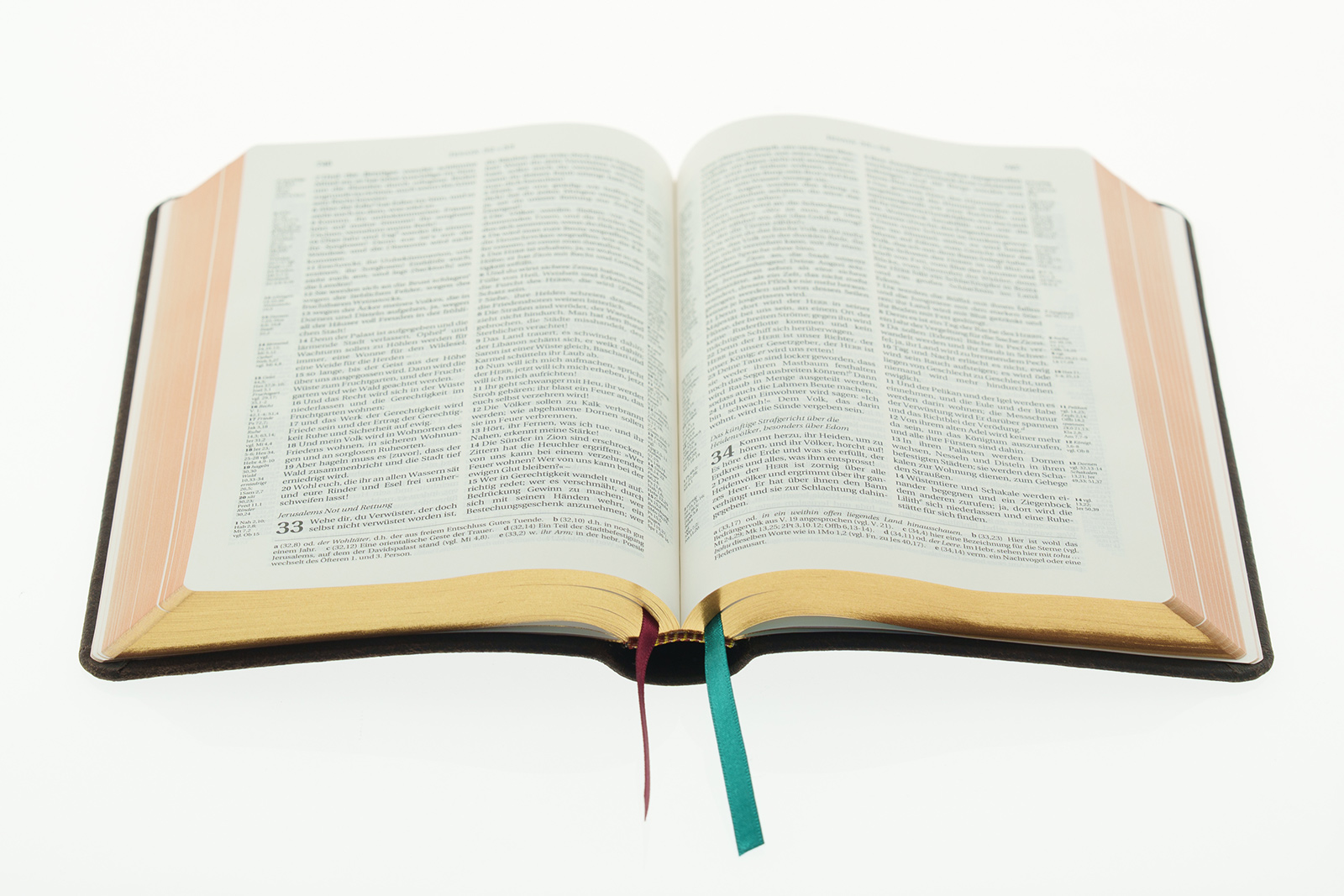 Schlachter 2000 Bibel - Taschenausgabe (Rindsleder flexibel, schwarz, Rotgoldschnitt) Schlachter 2000 Bibel - Taschenausgabe (Rindsleder flexibel, schwarz, Rotgoldschnitt)