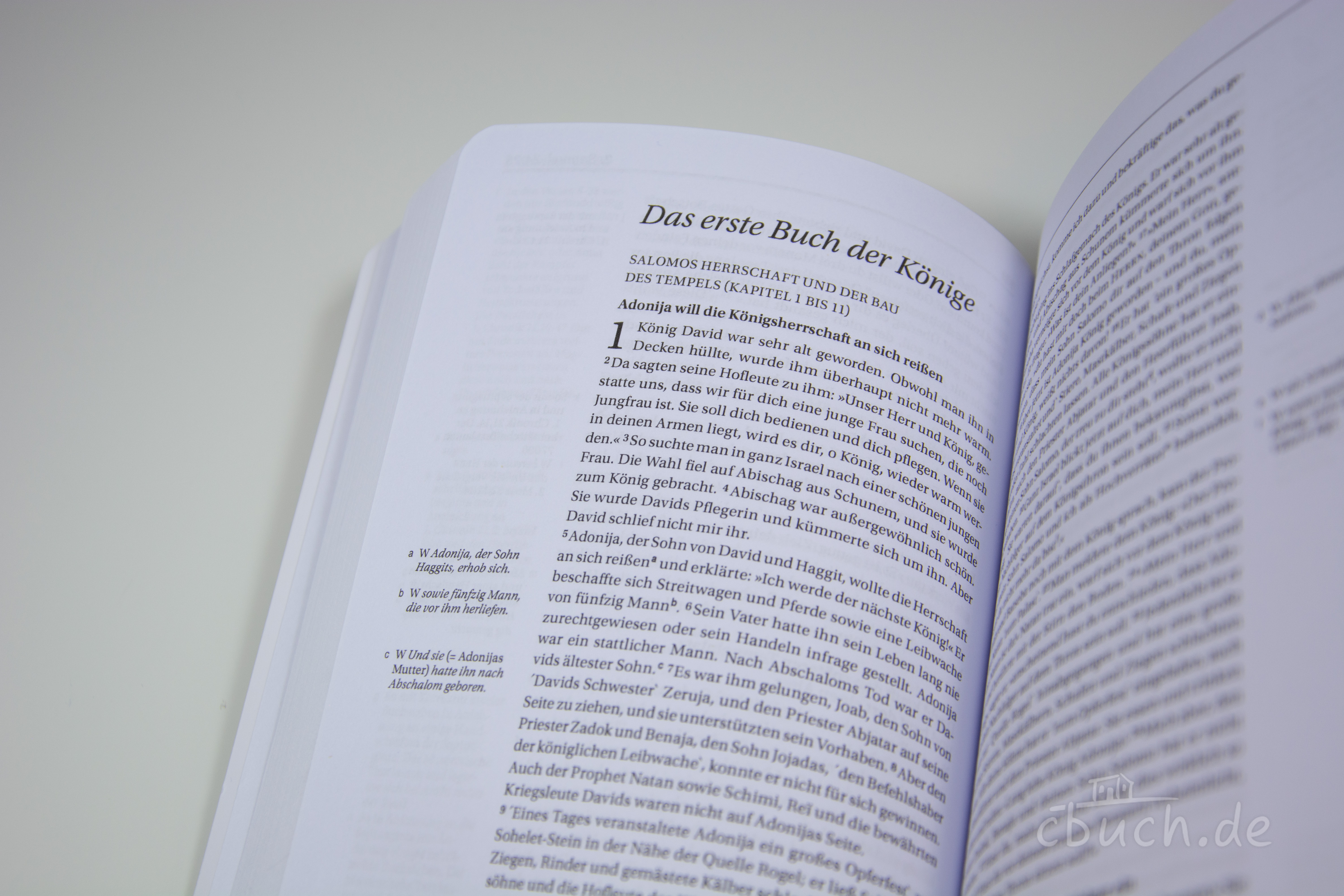 NGÜ AT: Die Geschichtsbücher: Josua - Ester