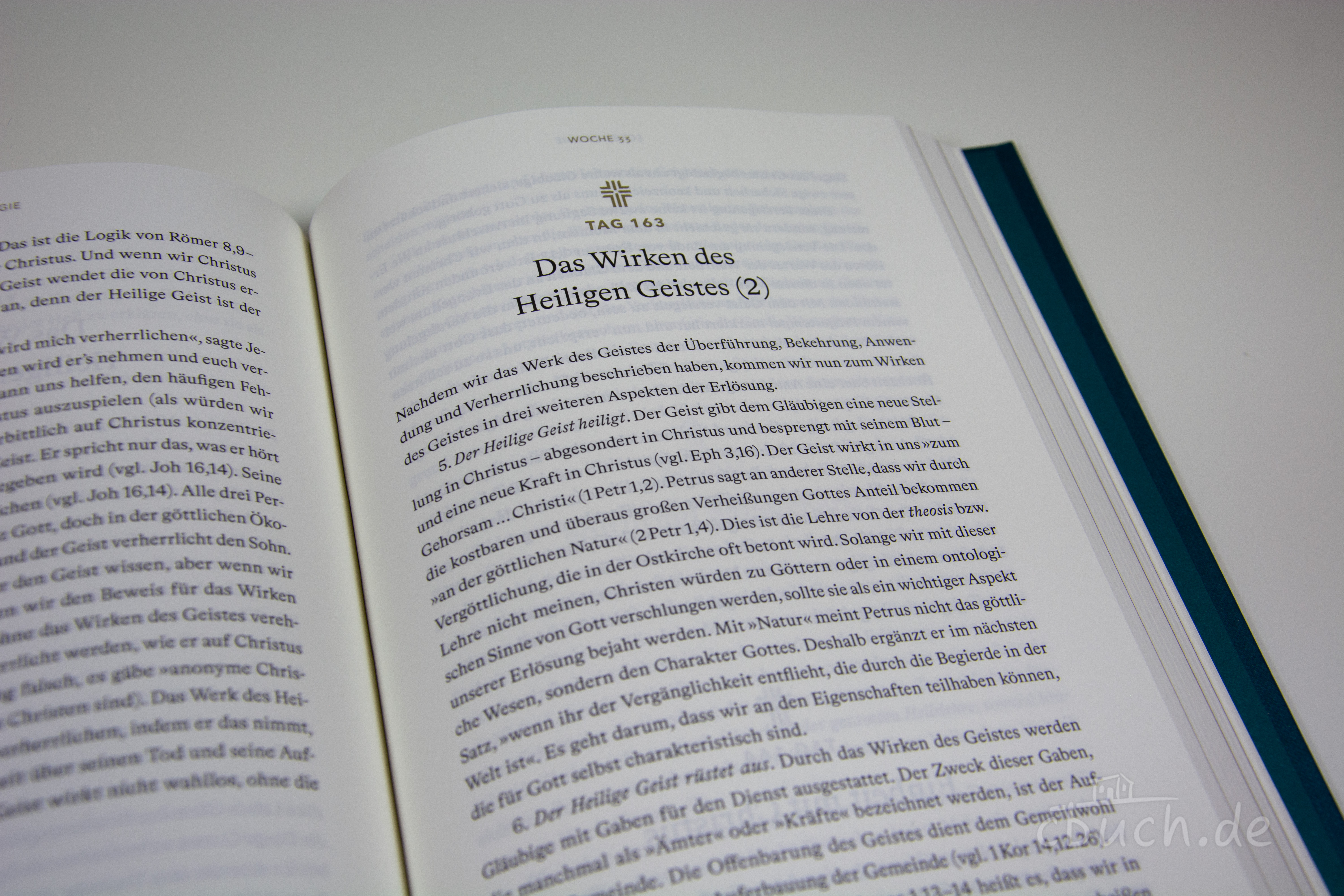 DeYoung: Theologie für jeden Tag