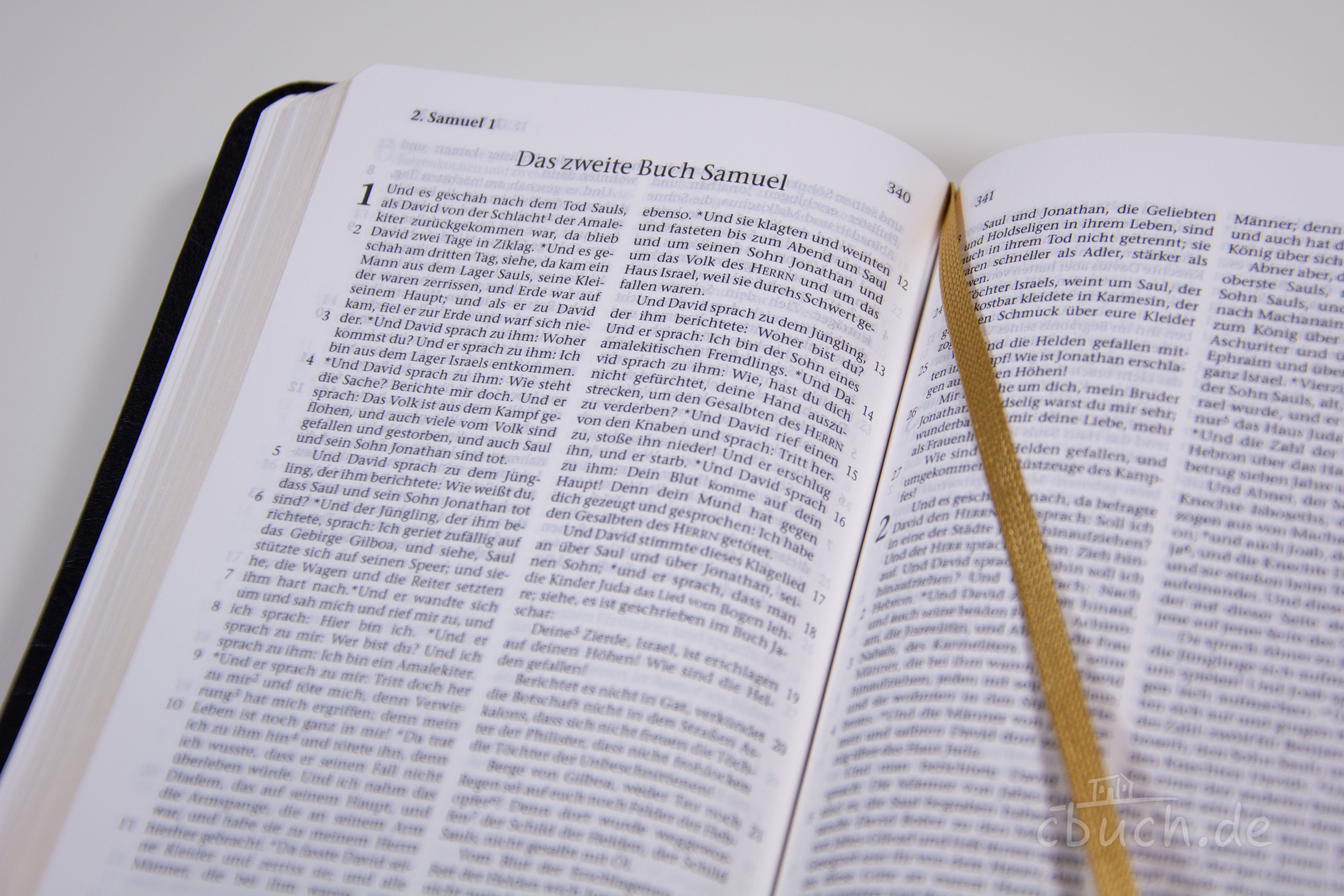 Elberfelder Bibel Edition CSV - Pocketbibel Rindleder, schwarz, Goldschnitt