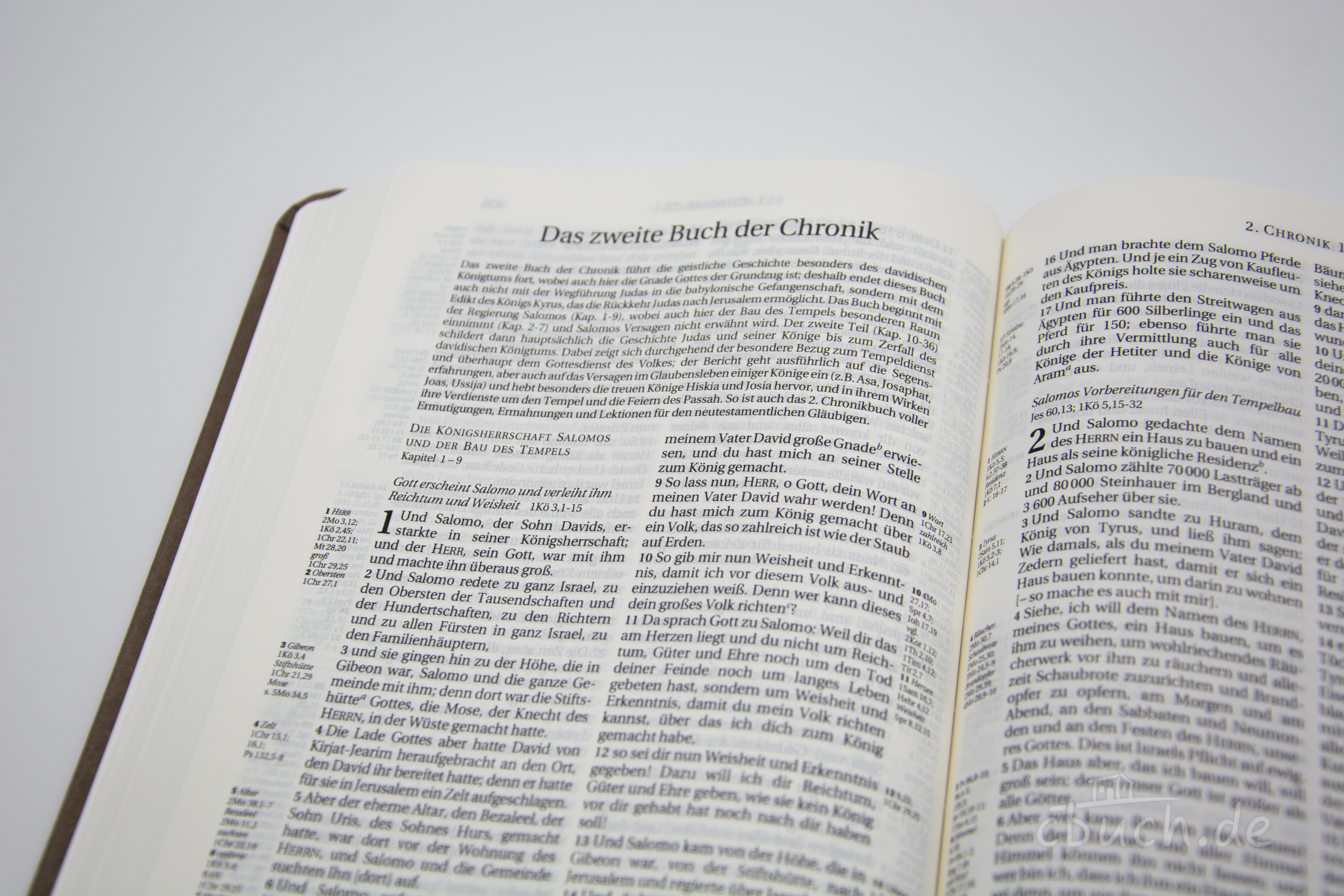Schlachter 2000 Bibel - Taschenausgabe - Rindleder / Taupe