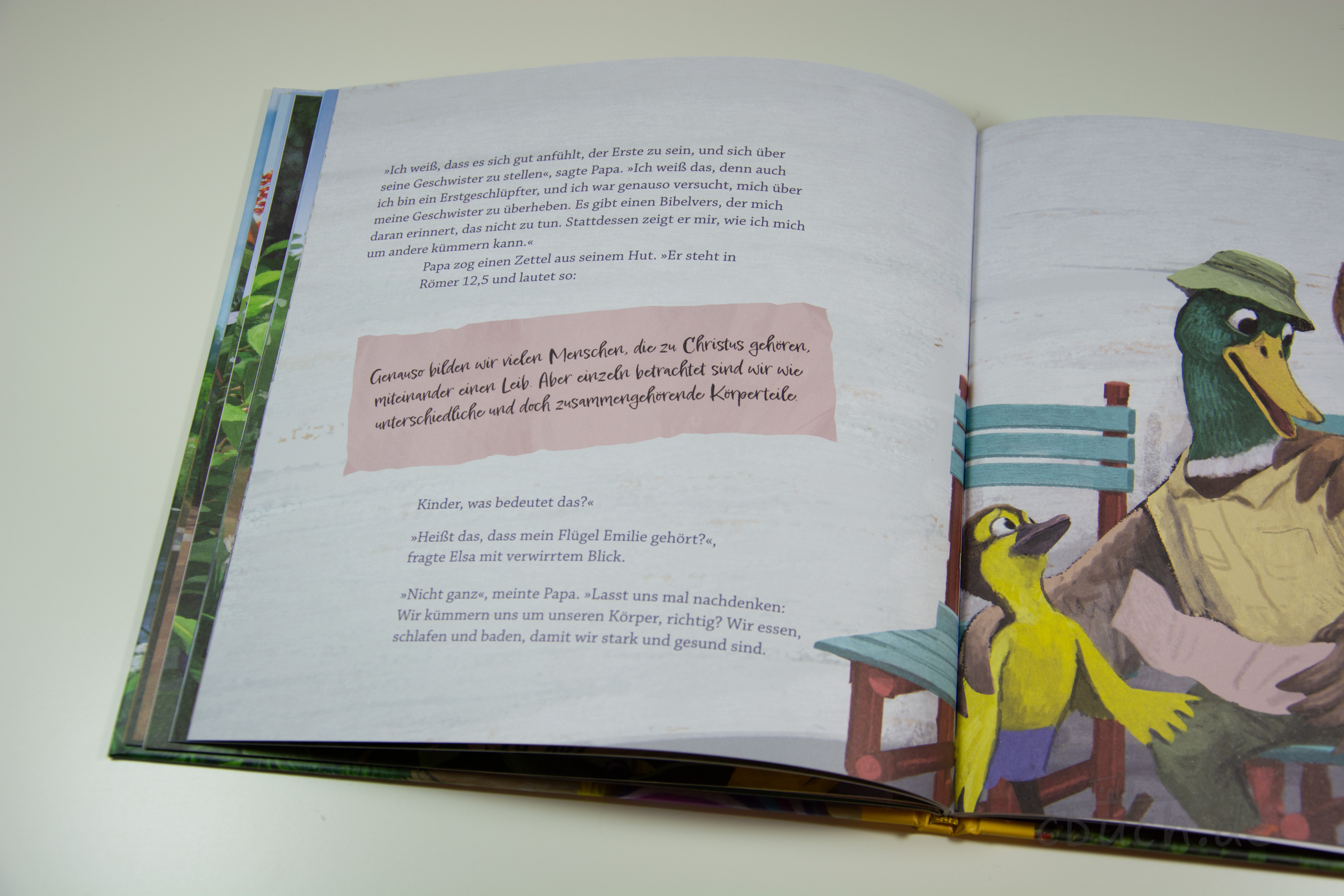 Whitman: Elsa will die Erste sein – aufgeschlagenes Kinderbuch mit Enten-Illustration Aufgeschlagene Innenseite des Kinderbuchs "Whitman: Elsa will die Erste sein" von Verbum Medien mit Textseite und Illustration von Enten, passend zu Themen wie Eifersucht, Vergebung und Gemeinschaft.
