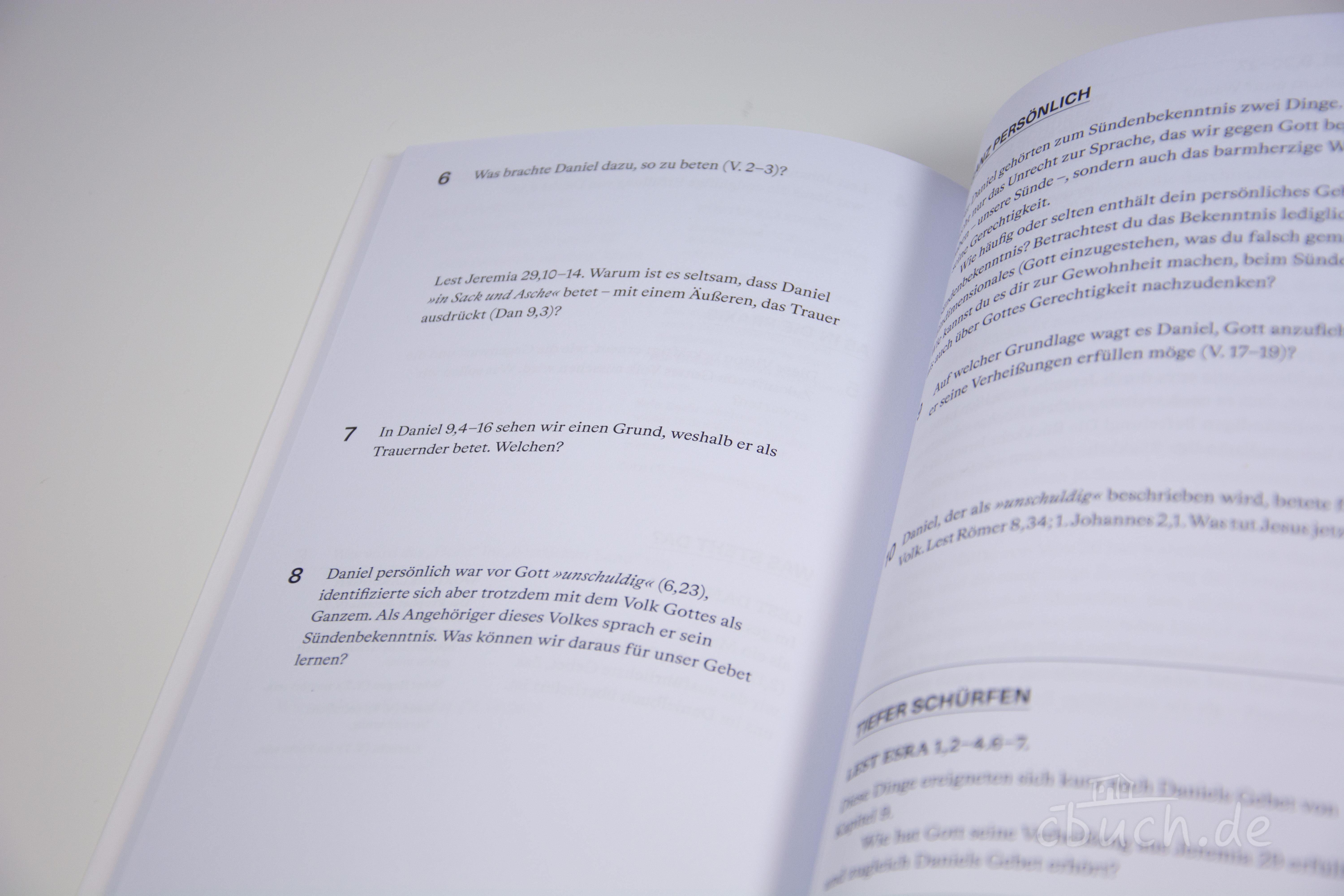 Helm: Daniel | Arbeitsheft (Die Bibel erklärt)