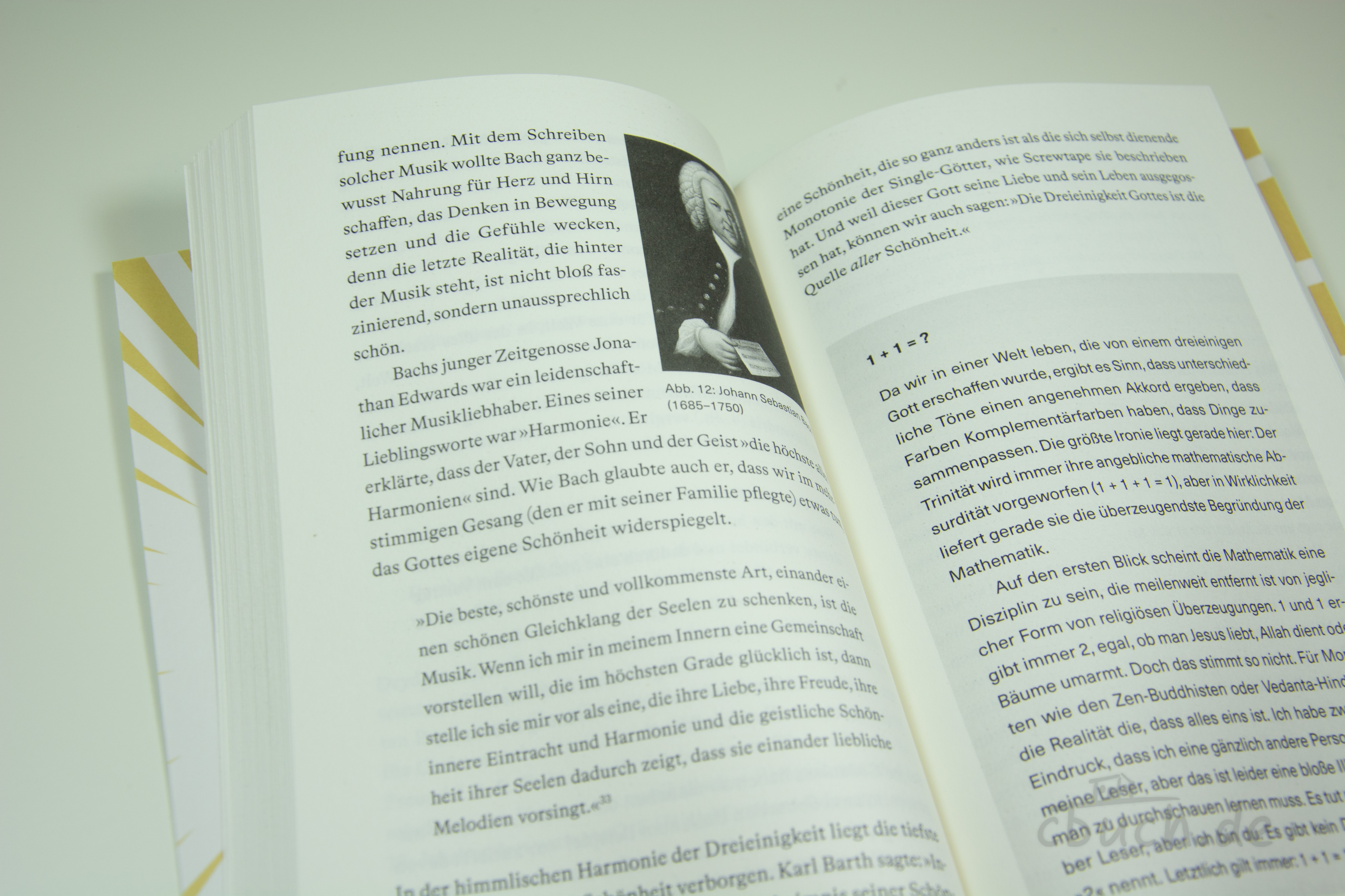 Aufgeschlagenes Buch "Reeves: Fasziniert" von Michael Reeves mit Seitenansicht zum Thema Trinität und christlicher Glaube, erschienen bei Verbum Medien.