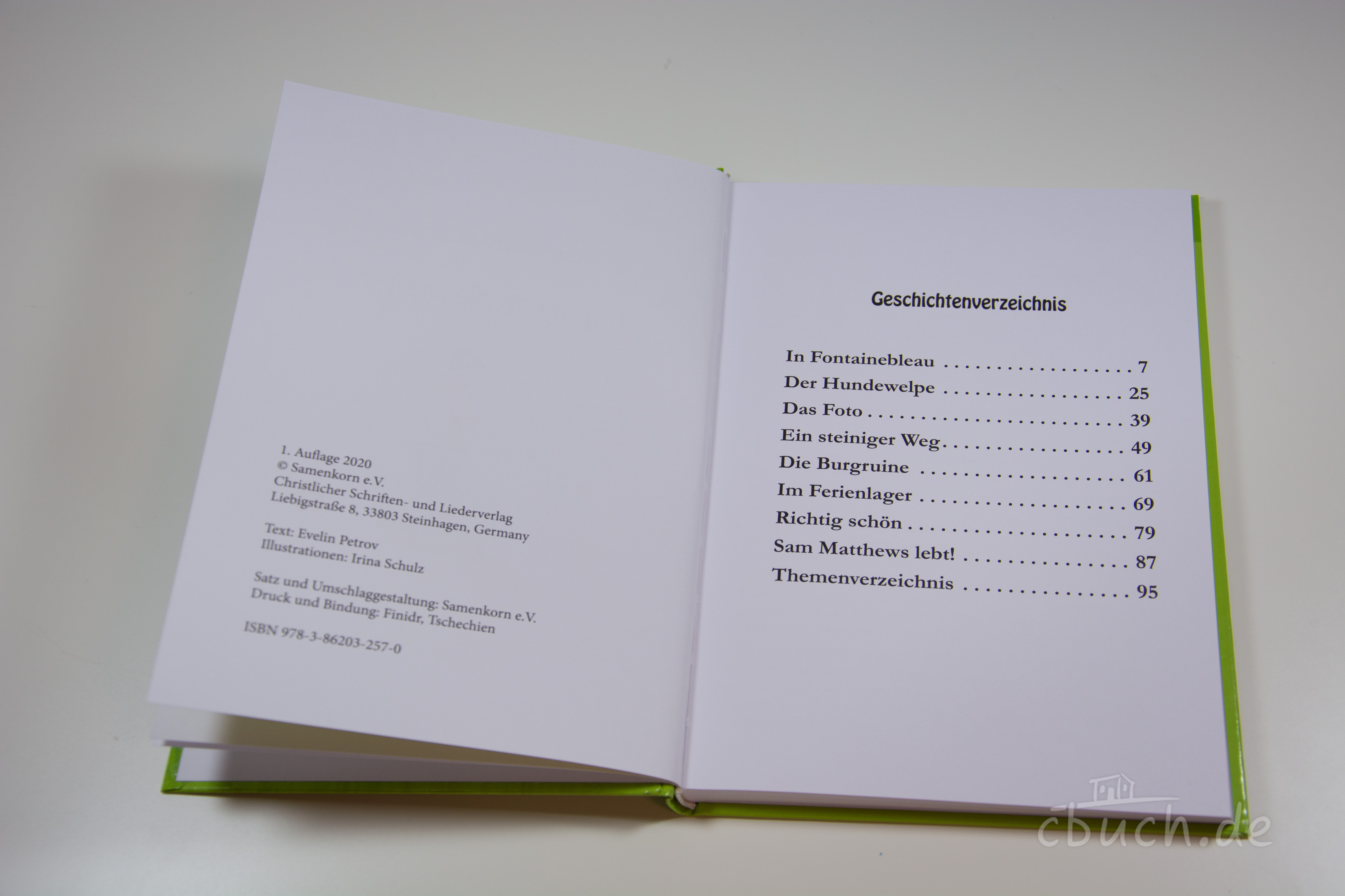 Petrov: Der Hundewelpe (Band 4)