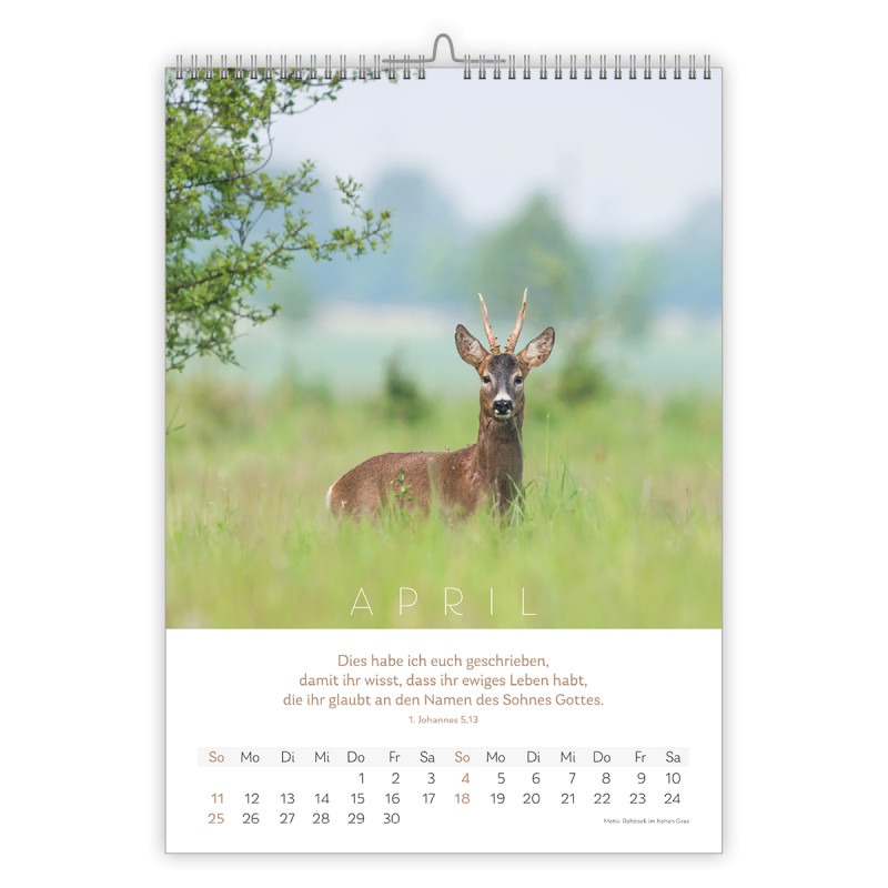 Natur Kalender 2027 - CSV