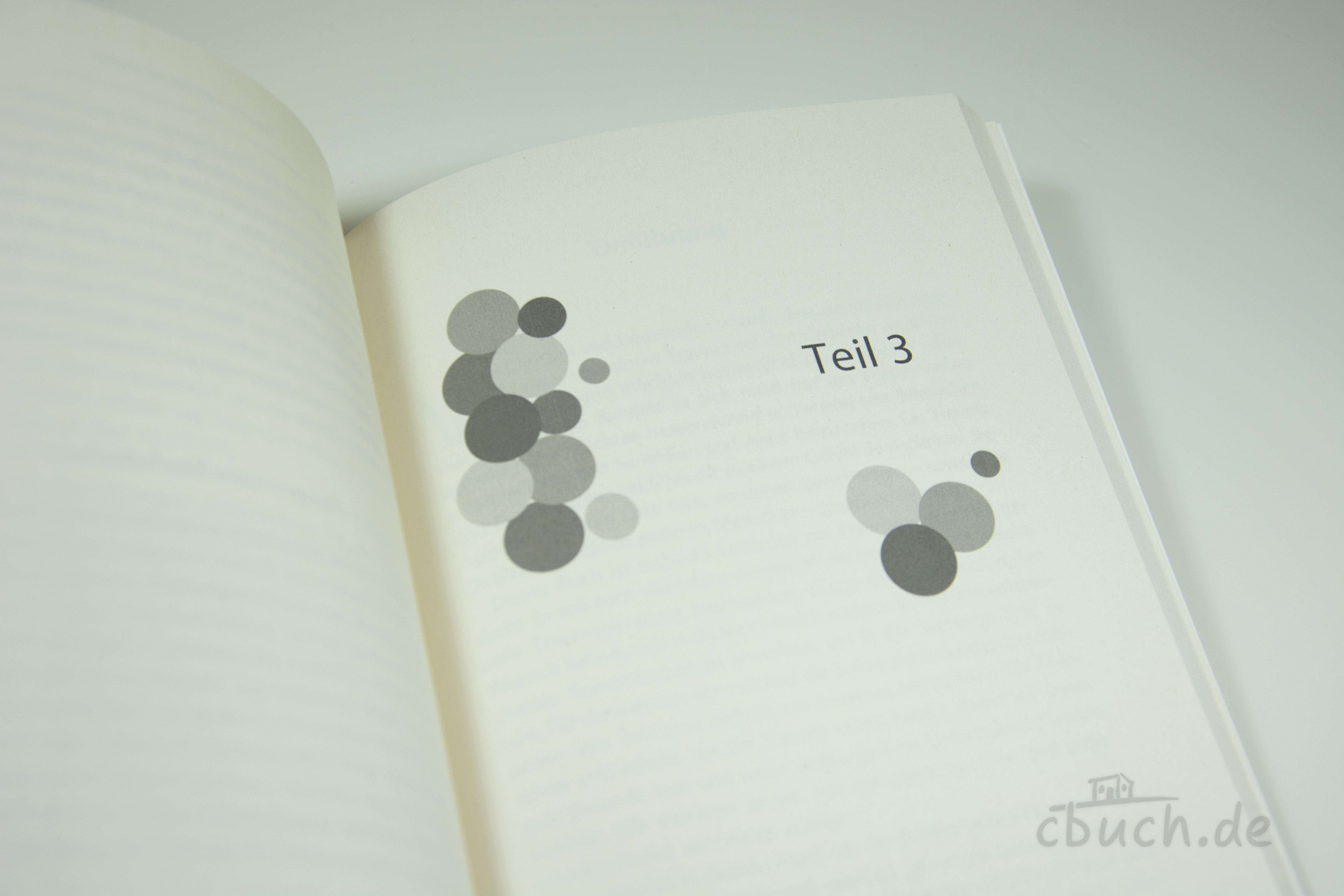 Midgley: TRAUMA – Buchinnenseite Teil 3 Buchinnenseite von Midgley: TRAUMA mit Kapitelstart Teil 3 – christliches Buch über Traumata, Gemeinde und den weisen Umgang von Christen mit Leid, Hersteller 3L