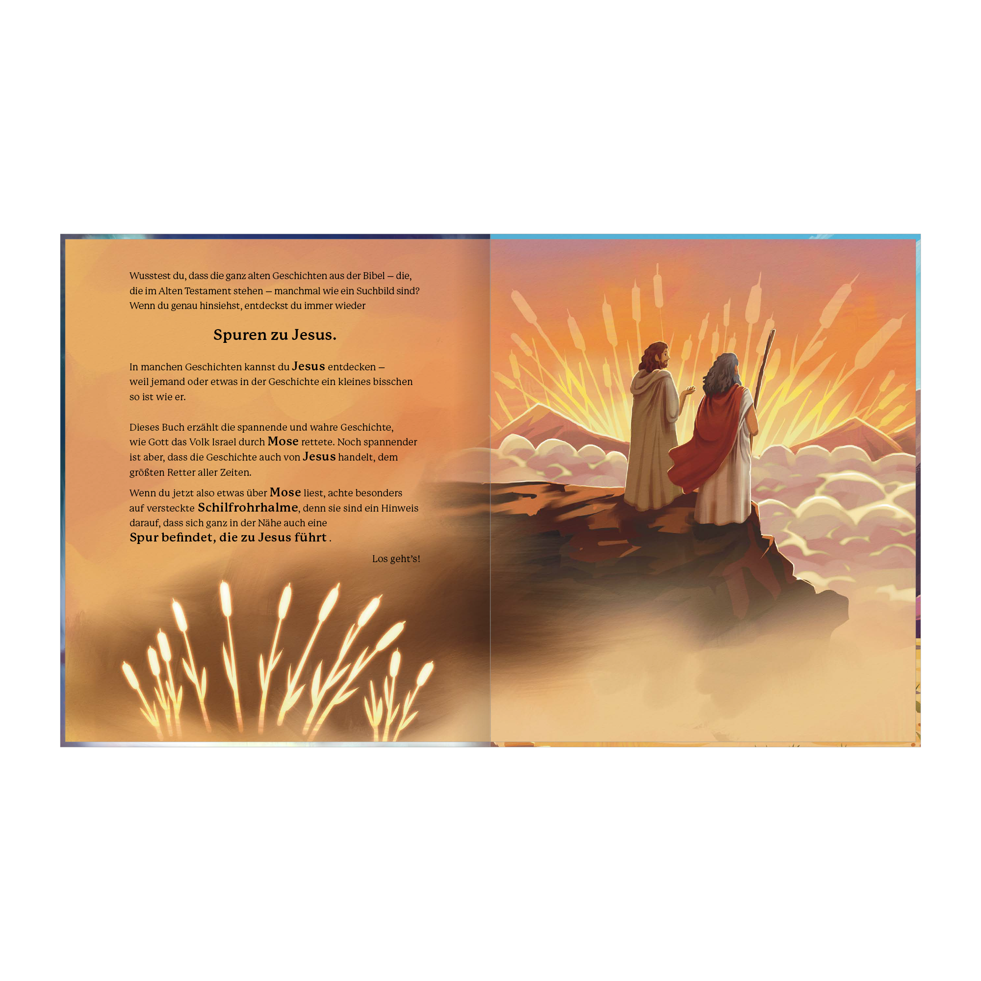 Mitchell: Mose (Spuren zu Jesus) Mitchell: Mose (Spuren zu Jesus)