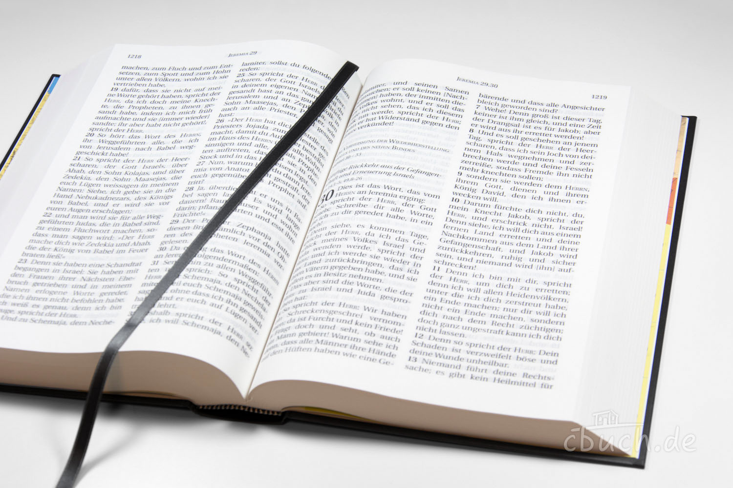 Nahaufnahme einer offenen Bibel mit schwarzem Leseband