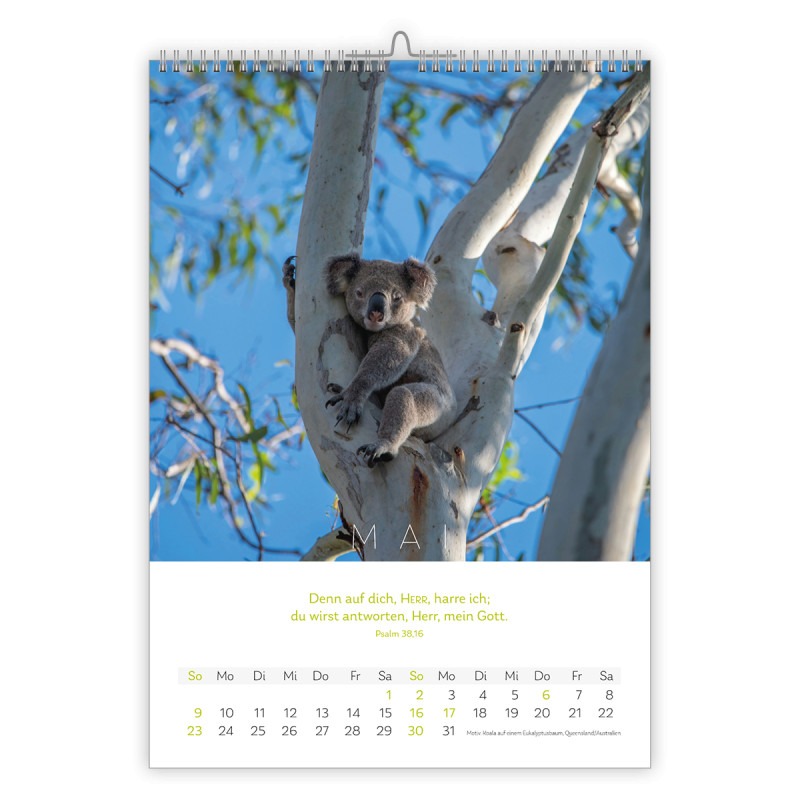 Natur Kalender 2027 - CSV