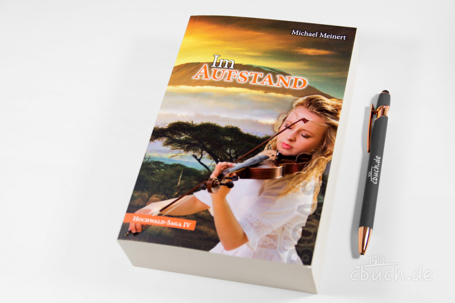 Buch Im Aufstand von Michael Meinert mit Geigenspielerin Buchcover Im Aufstand mit Geigenspielerin vor Landschaft und