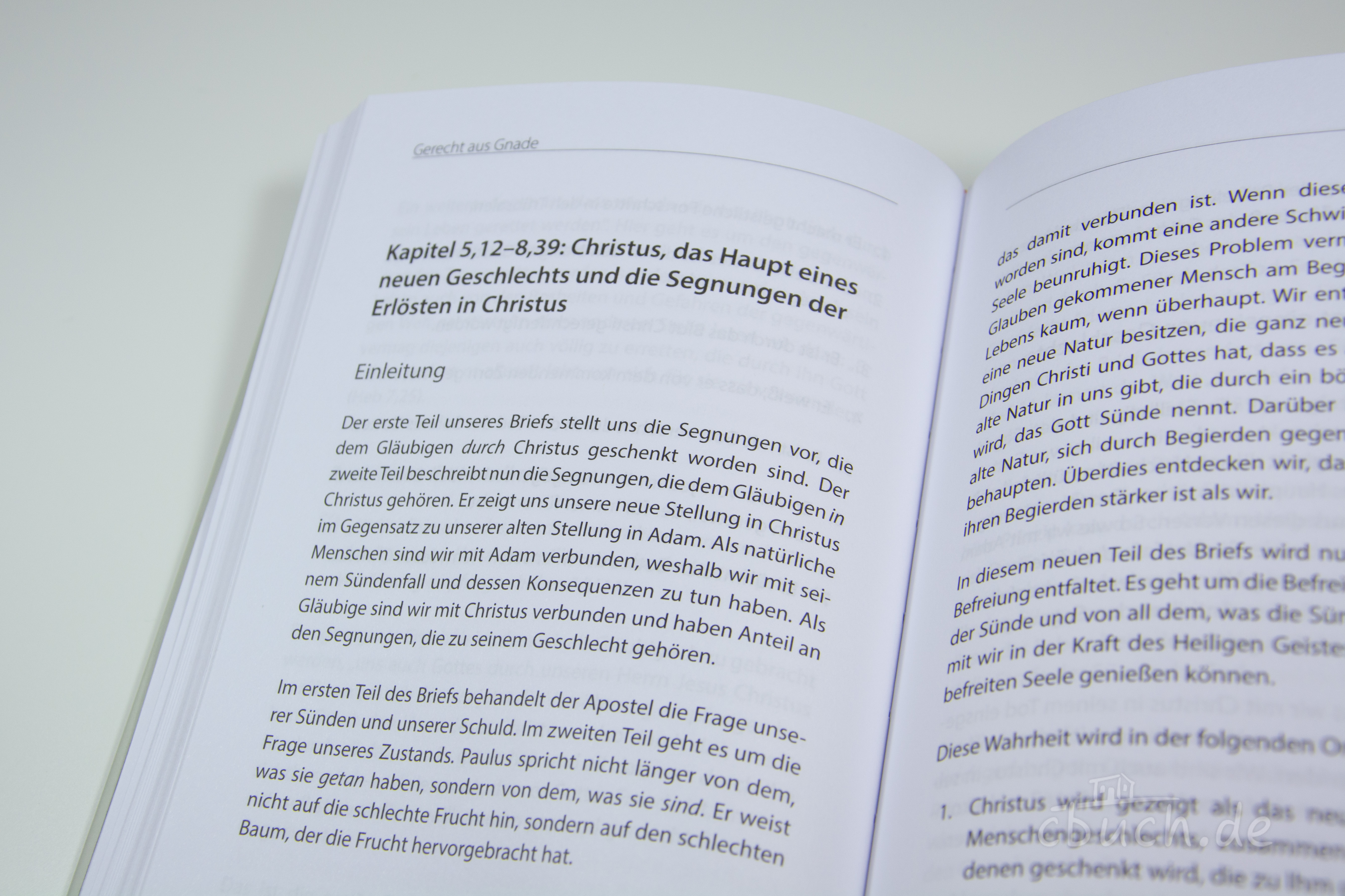 Hamilton Smith: Gerecht aus Gnade