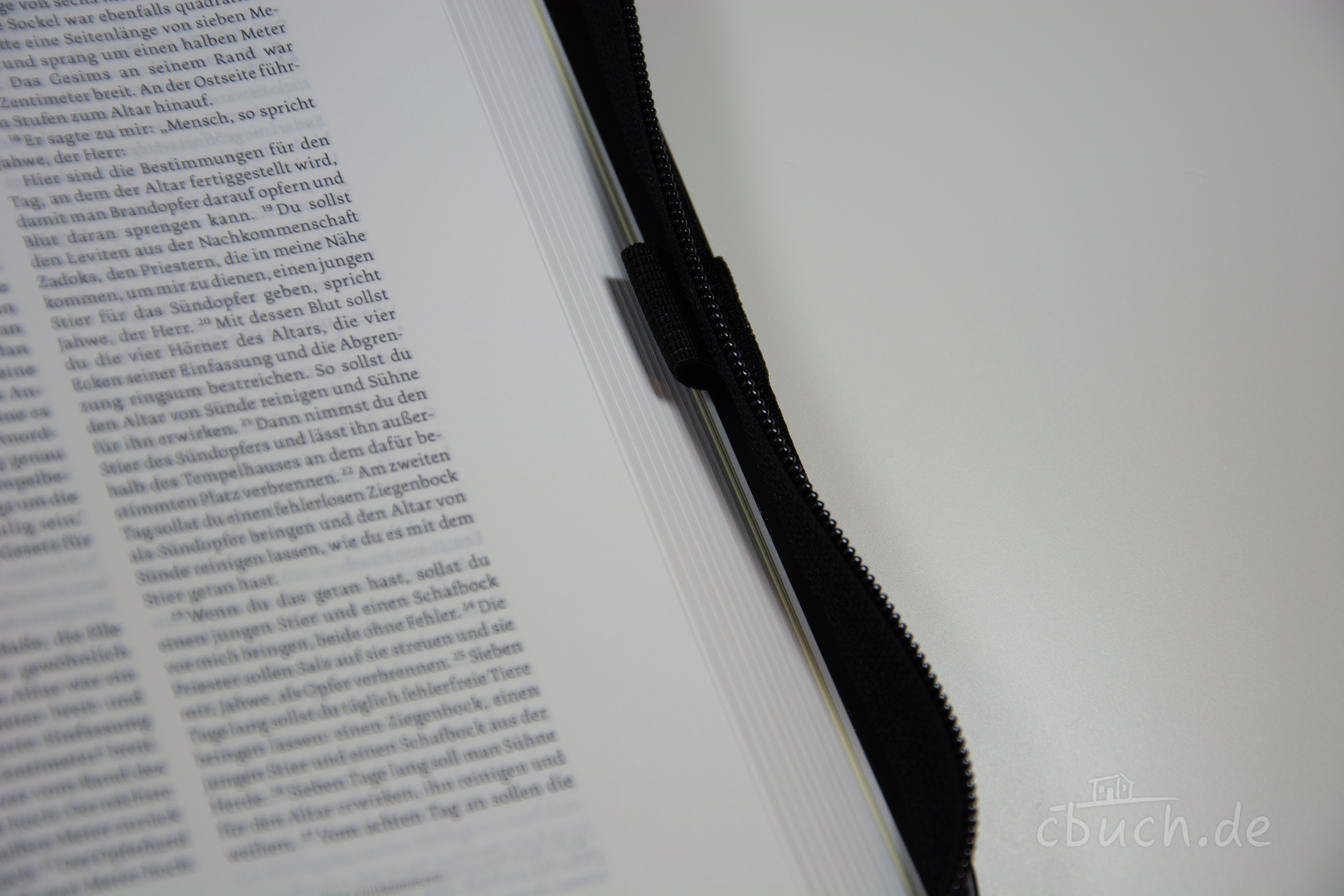 Life Lion Bibel NeÜ bibel.heute - schwarz