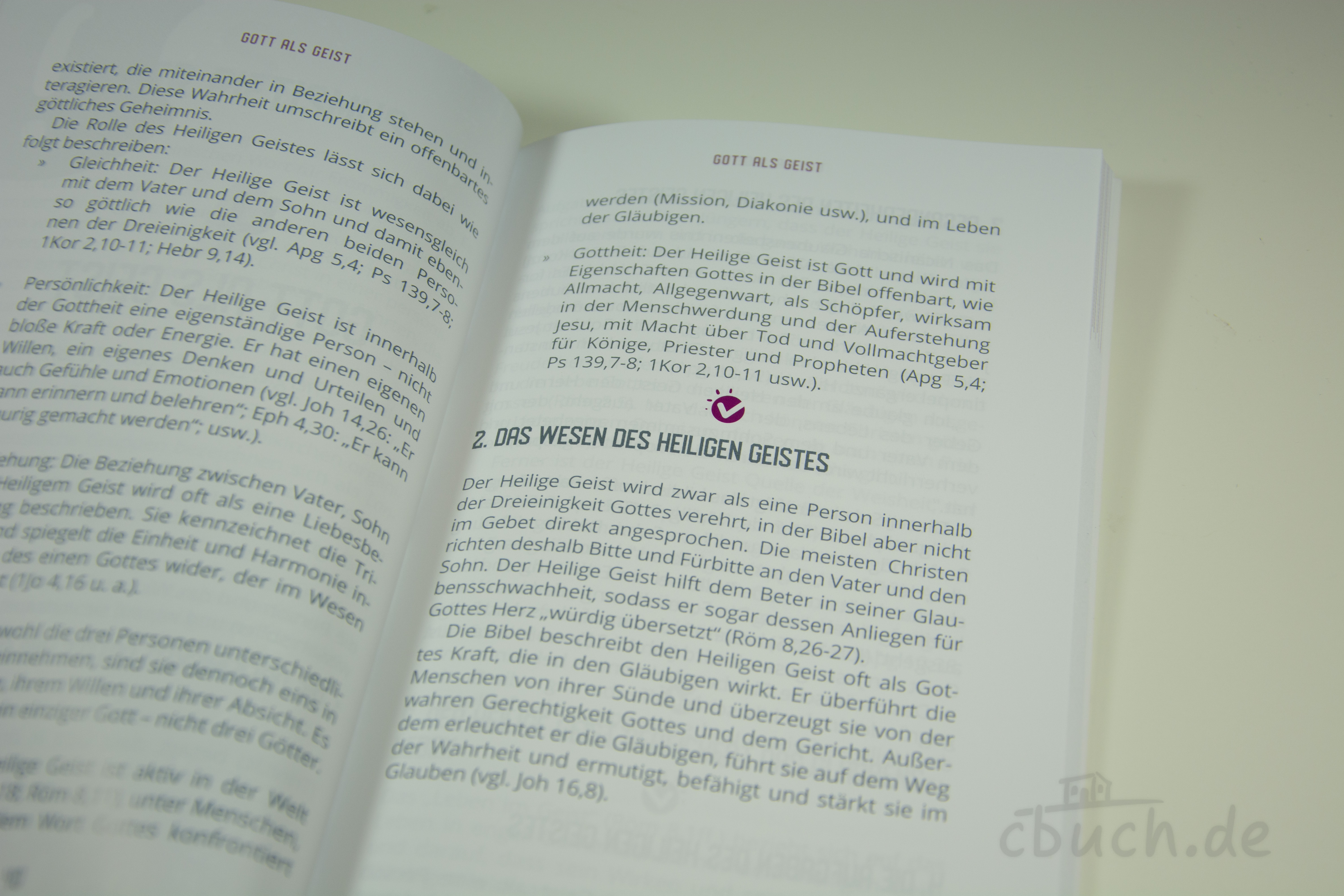 Offenes Buch mit Text über das Wesen des Heiligen Geistes