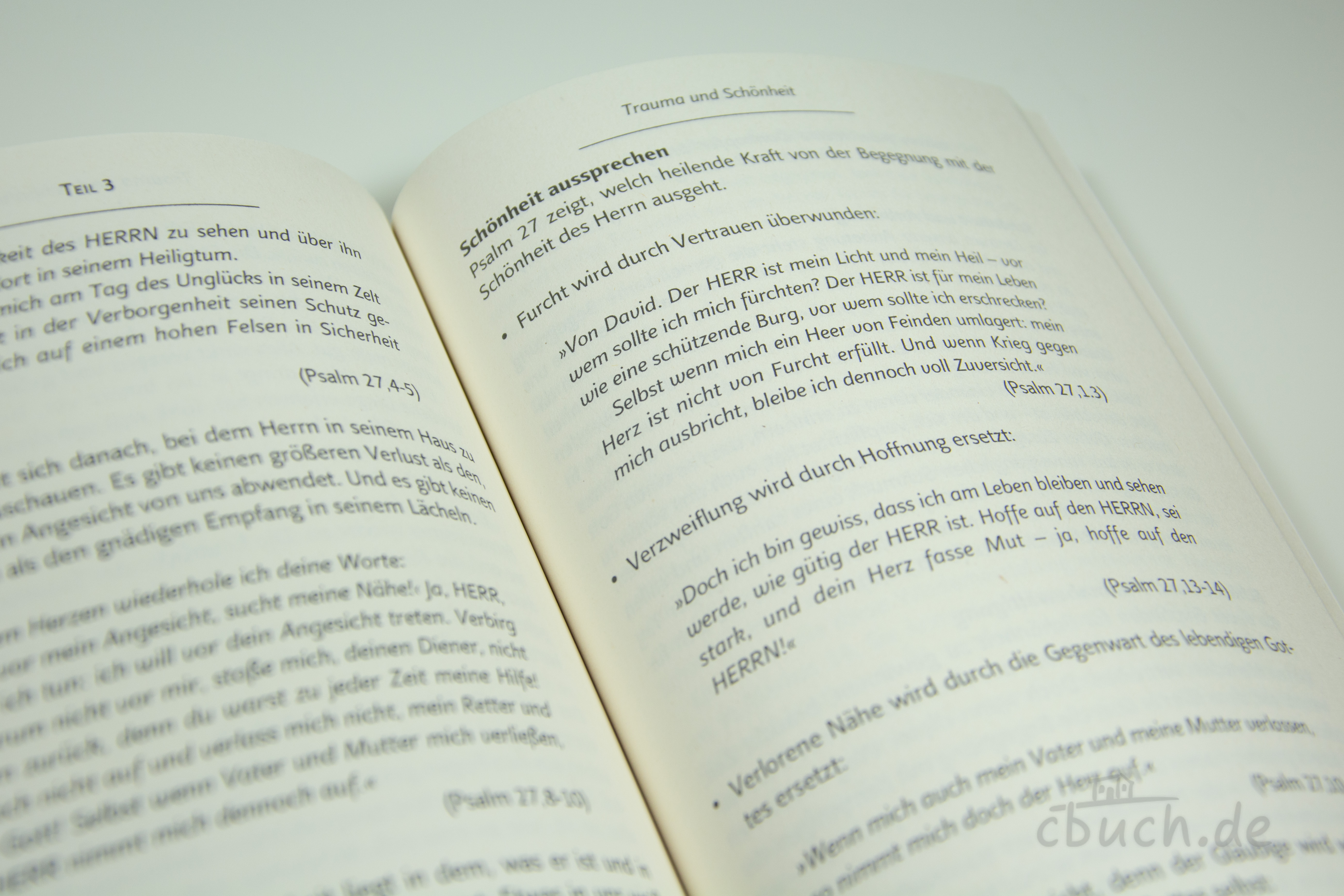Midgley: TRAUMA – Buch über Trauma, Glaube und Gemeinde von 3L Aufgeschlagenes Buch Midgley: TRAUMA von 3L mit christlichen Texten über Trauma, Hoffnung und den Umgang mit Traumata in der Gemeinde