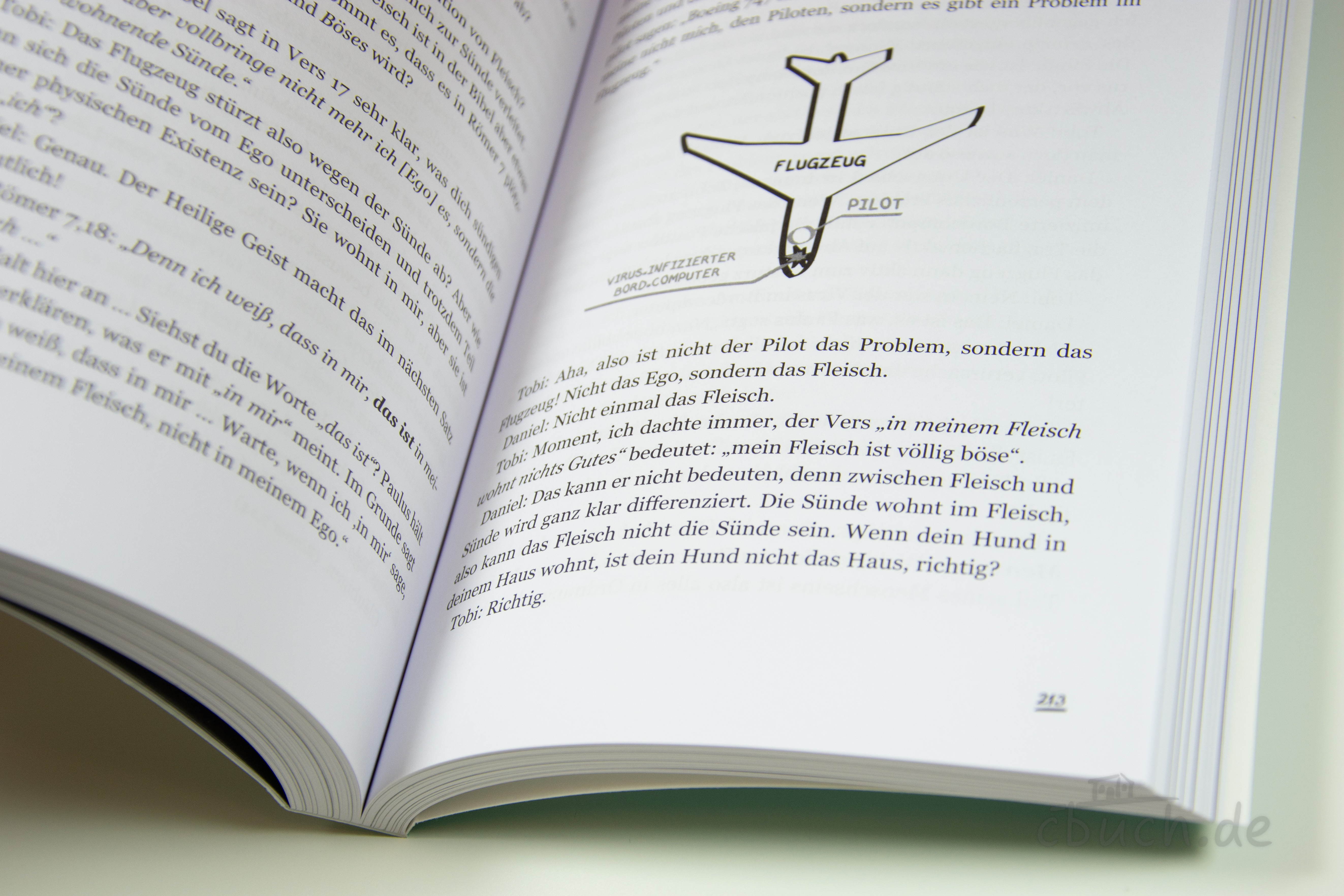Geöffnete Buchseite aus "Überrascht von Liebe" von Nathanael Bubenzer, CV, mit Text und erklärender Flugzeug-Grafik zur biblischen Wahrheit über Gottes Liebe.