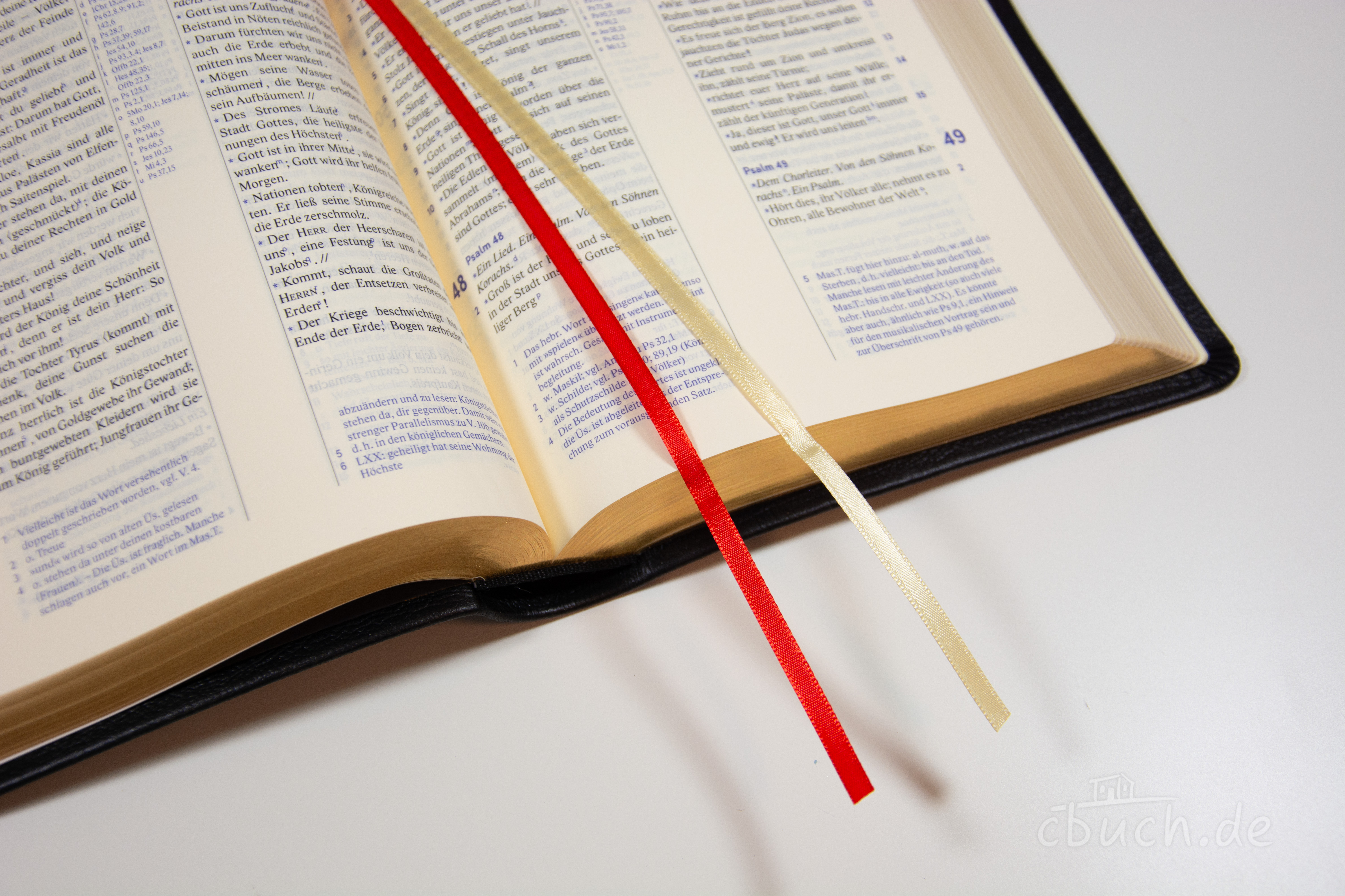 Revidierte Elberfelder Bibel - Standardausgabe, Leder-Goldschnitt Revidierte Elberfelder Bibel - Standardausgabe, Leder-Goldschnitt