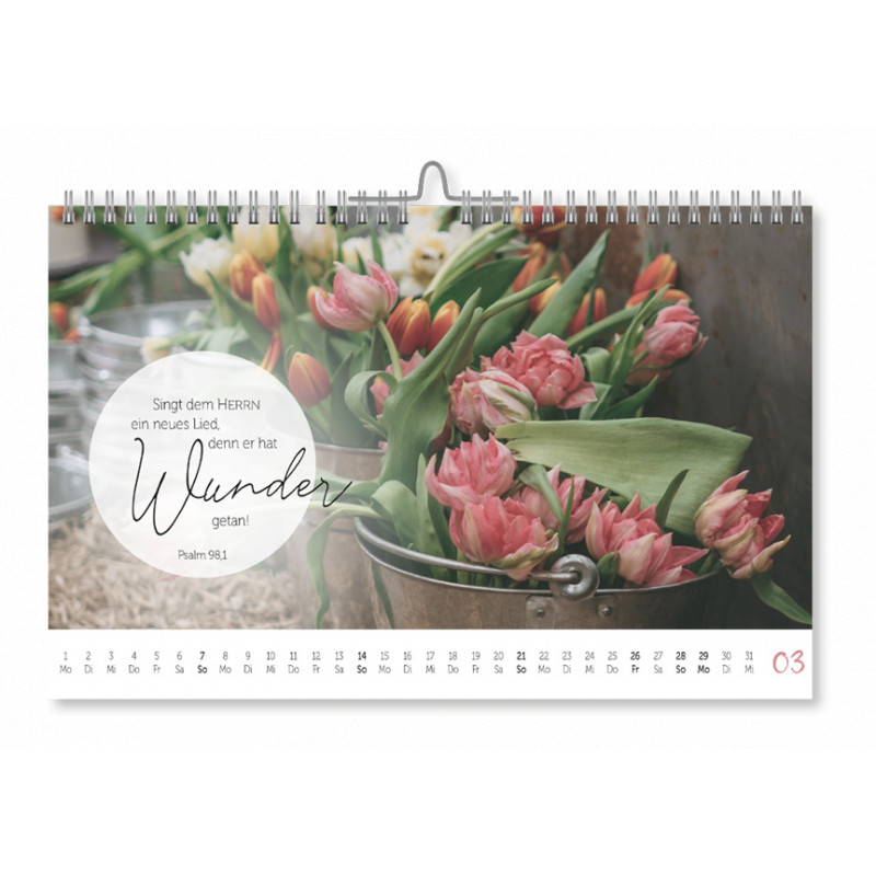 @home 2027 - Aufstellkalender @home 2027 - Aufstellkalender