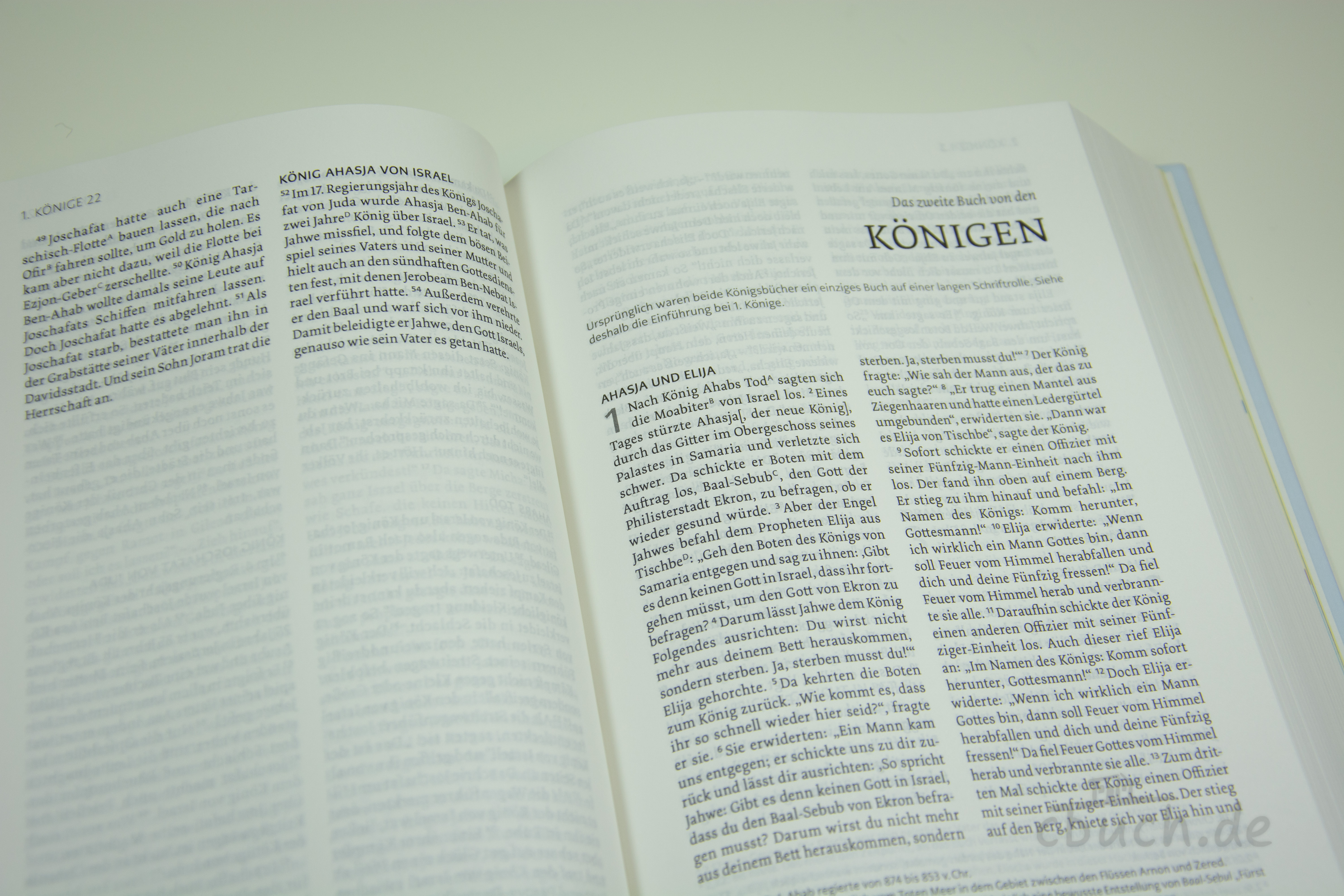 Geöffnete NeÜ bibel.heute Standardausgabe „Blume“ von CV, moderne sinngenaue Bibelübersetzung mit gut lesbarem Satz und Erklärungen, ideal für Einsteiger ins Bibellesen.