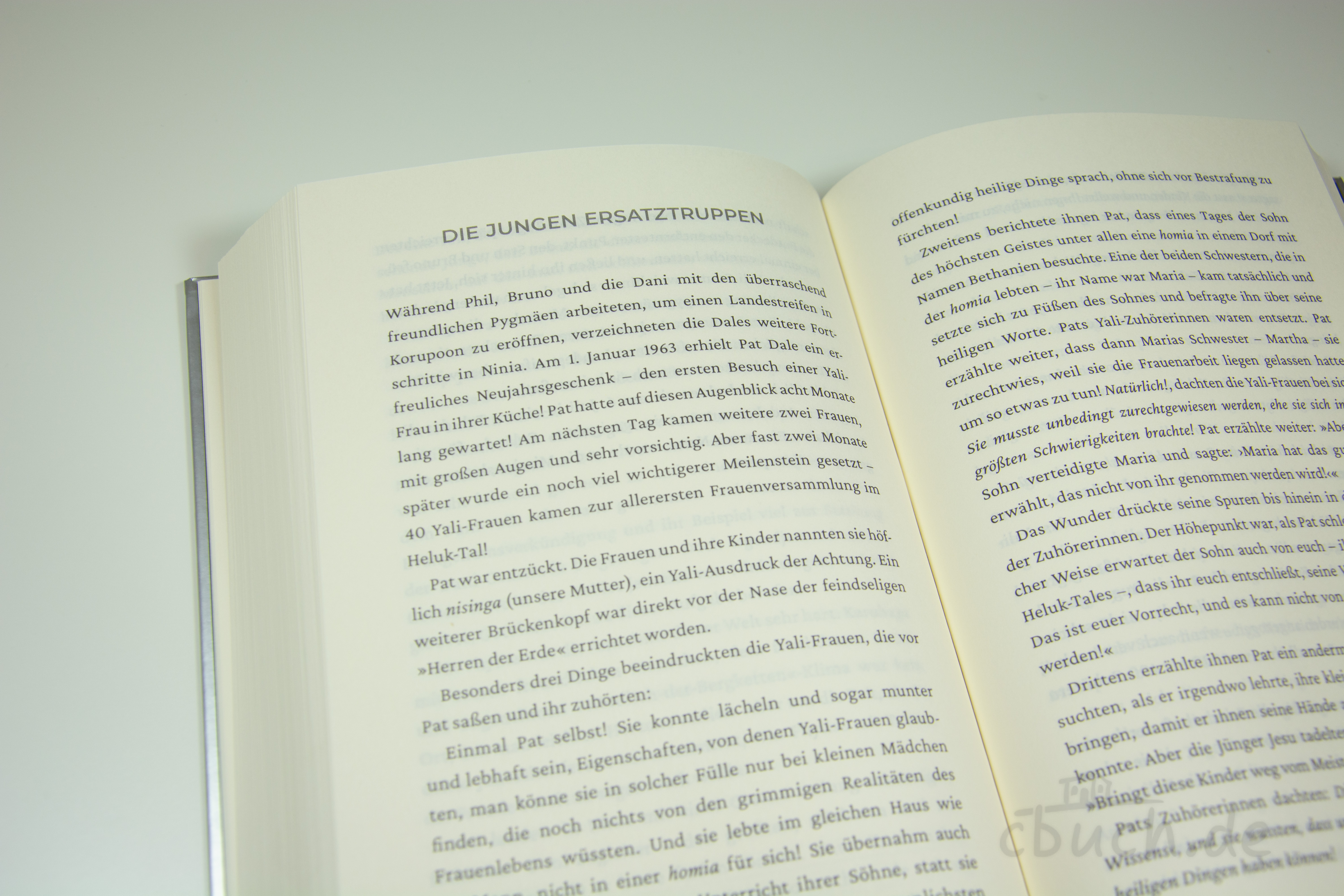 Richardson: Herren der Erde Richardson: Herren der Erde