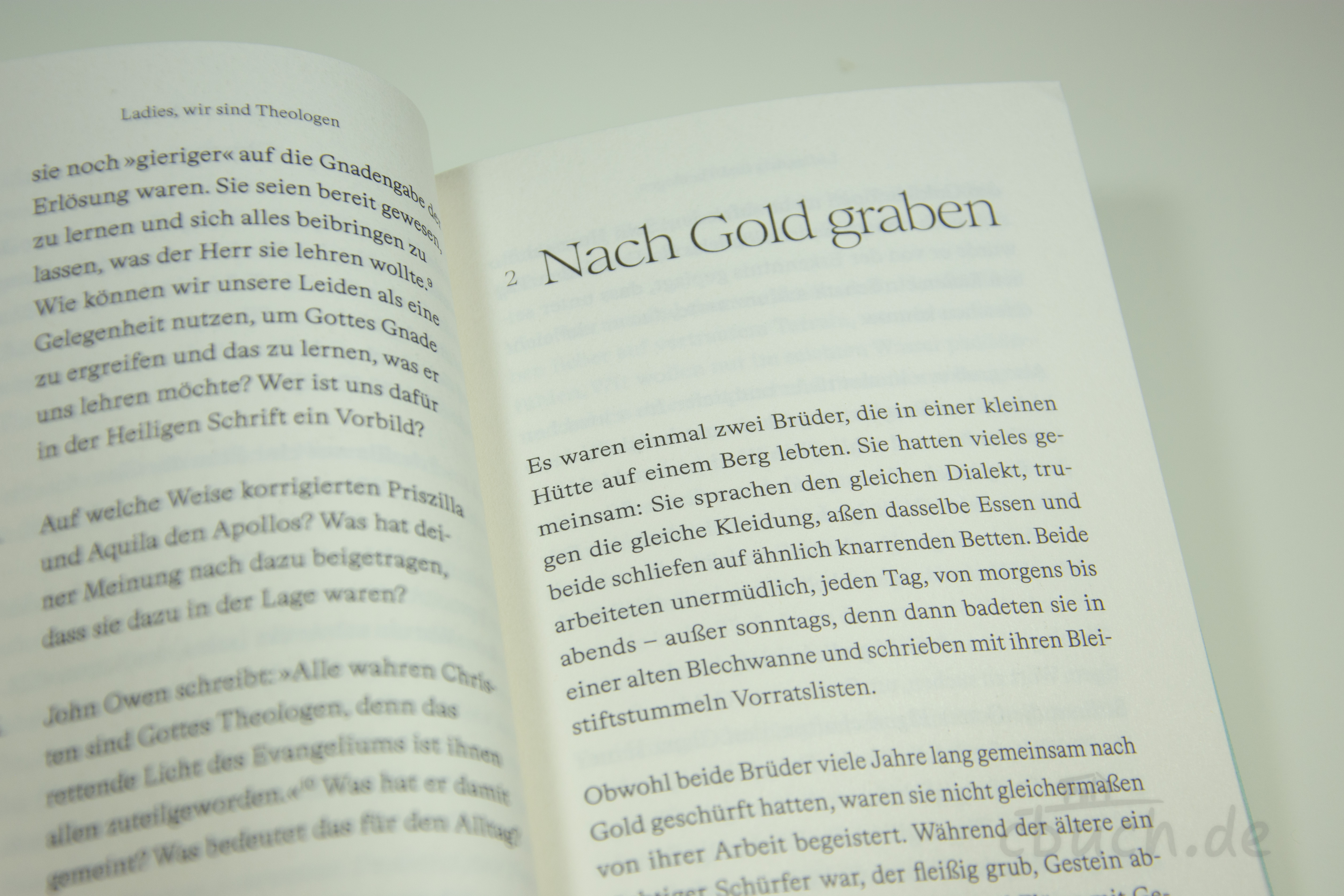 Buchseiten aus „Ladies, wir sind Theologen!“ von Verbum Medien Aufgeschlagenes Buch „Ladies, wir sind Theologen!“ von Verbum Medien mit Kapitelüberschrift „Nach Gold graben“ – christliches Buch für Frauen über Theologie, Bibelstudium und Glauben