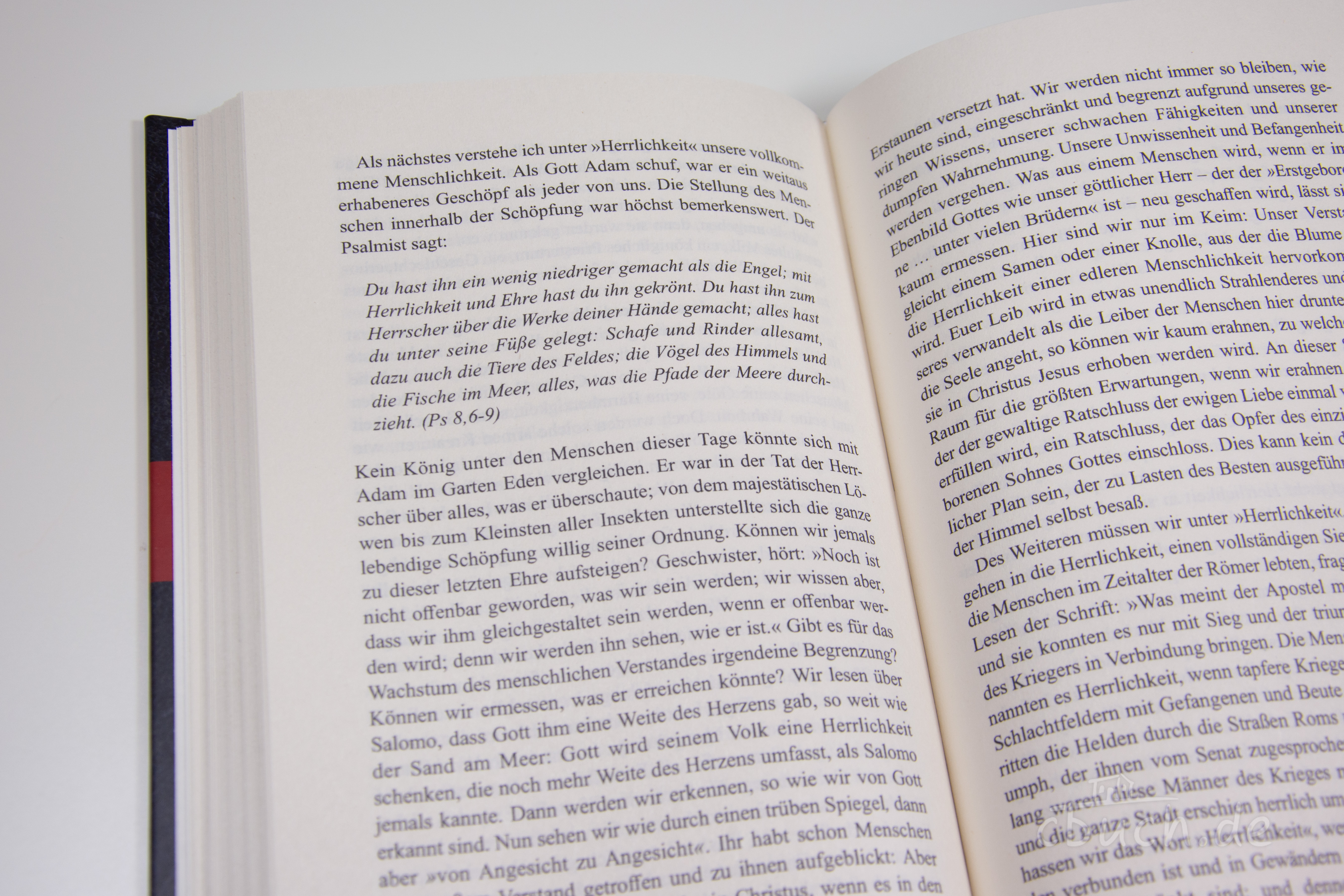 Spurgeon: Im Himmel gibt es keine Tränen (Band 12) Spurgeon: Im Himmel gibt es keine Tränen (Band 12)