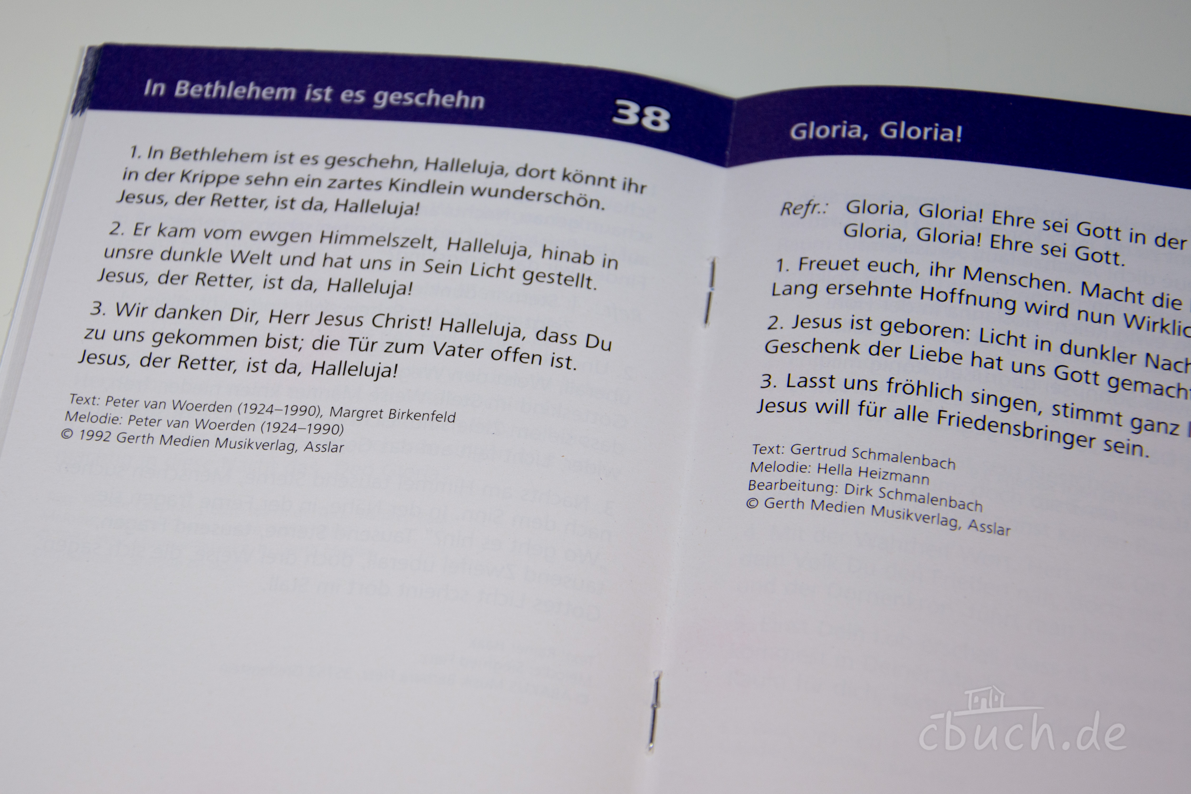 Der Geburtstag der Freude - Textausgabe - Liederbuch zu Weihnachten