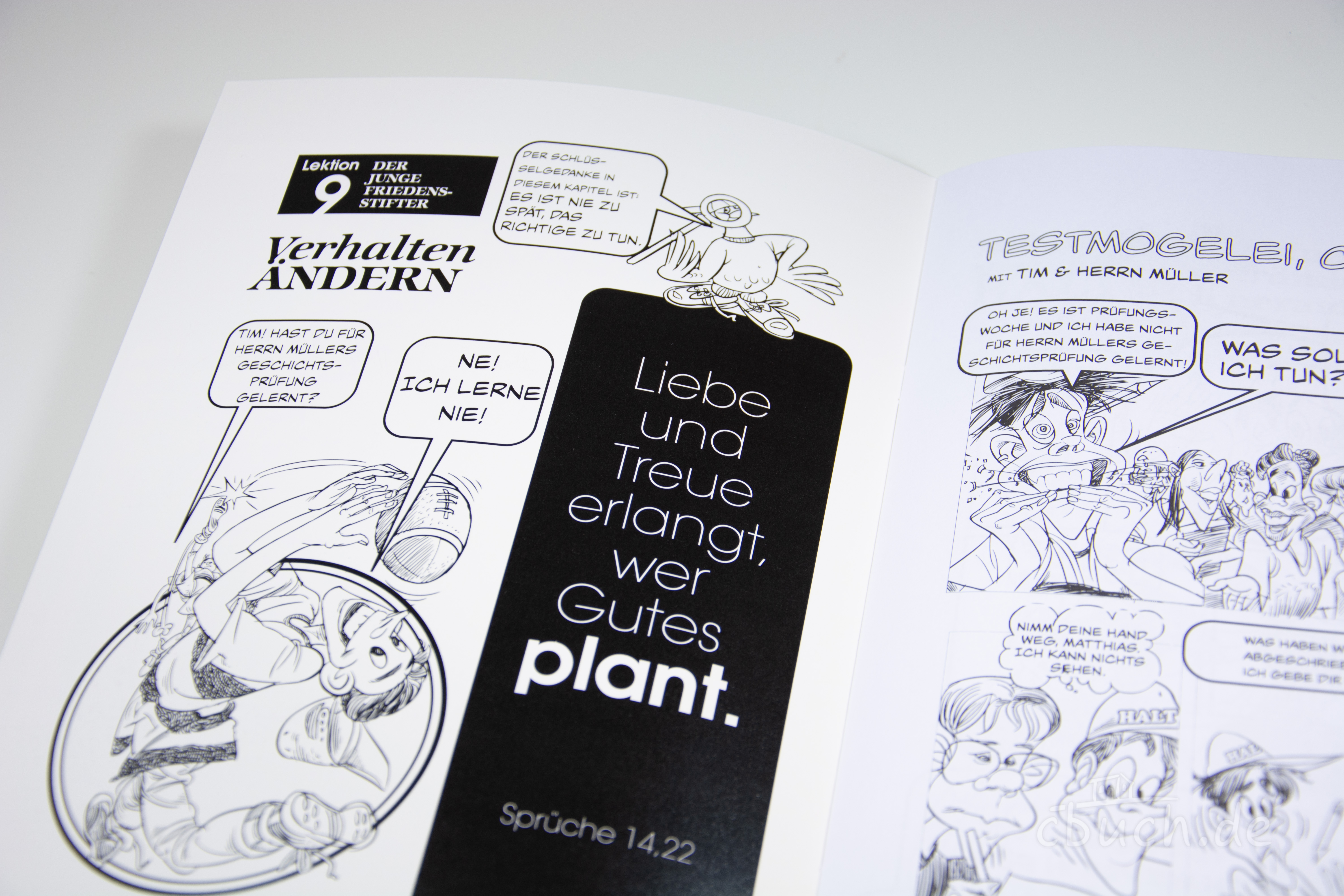 Corlette Sande: Handbuch für Friedensstifter - Comic Heft 9: Testmogelei, Chance vorbei Corlette Sande: Handbuch für Friedensstifter - Comic Heft 9: Testmogelei, Chance vorbei