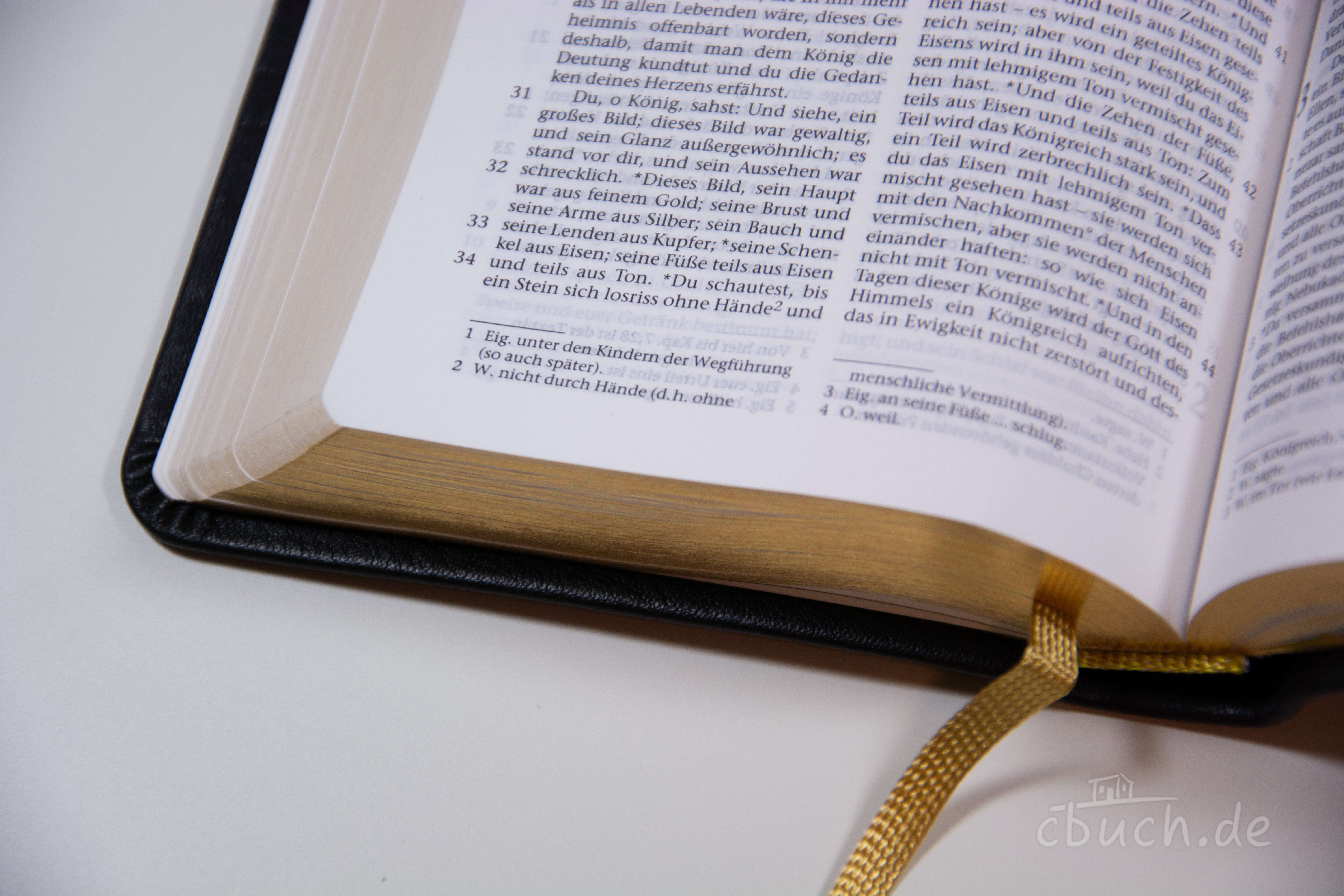 Elberfelder Bibel Edition CSV - Pocketbibel Rindleder, schwarz, Goldschnitt