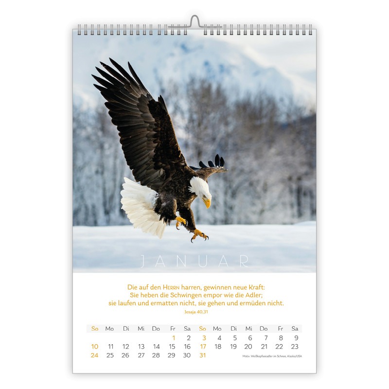 Natur Kalender 2027 - CSV Natur Kalender 2027 - CSV