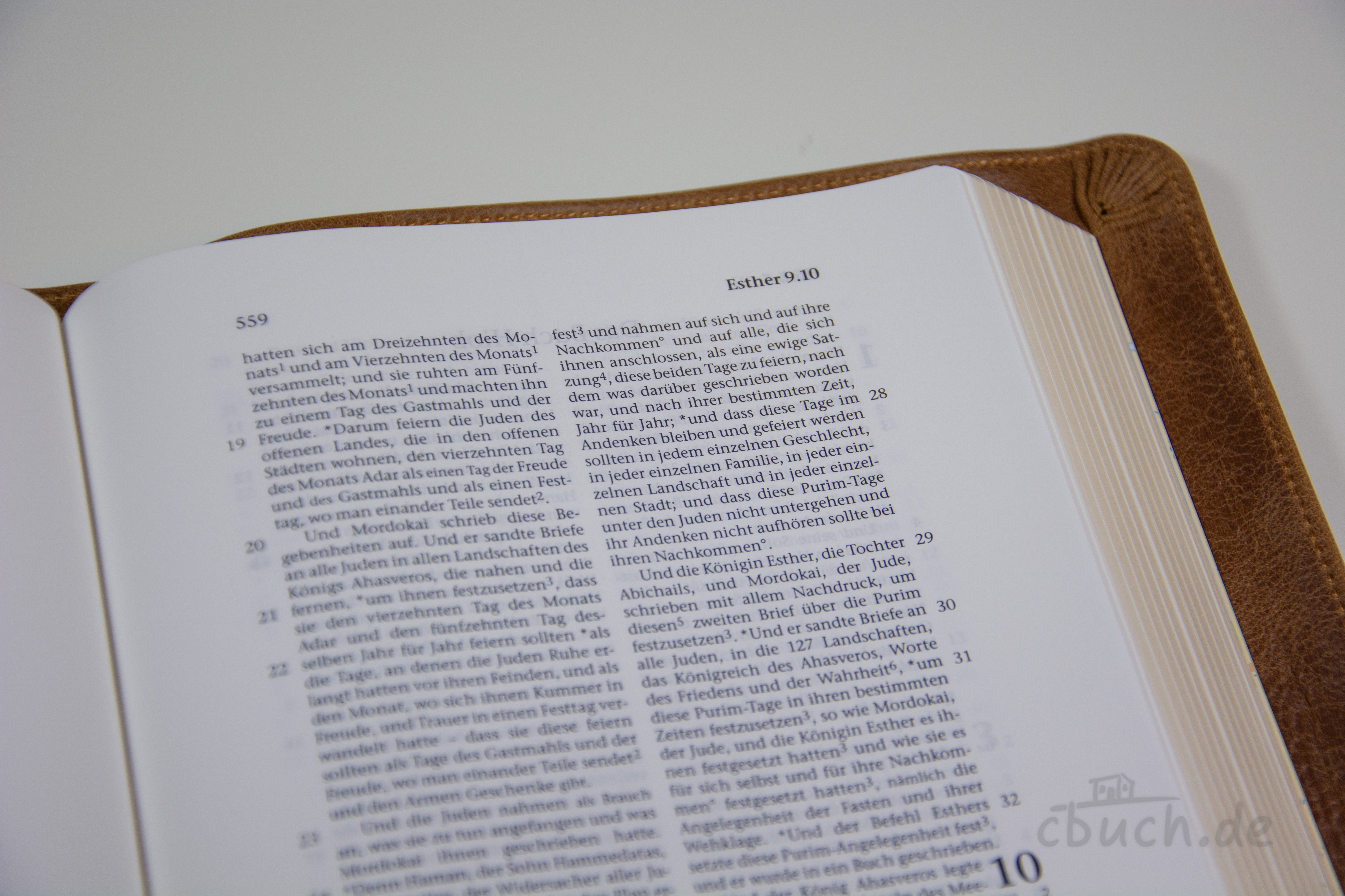 Elberfelder Bibel Edition CSV - Schreibrandbibel, größere Ausgabe, Leder, Toffee, Goldschnitt Elberfelder Bibel Edition CSV - Schreibrandbibel, größere Ausgabe, Leder, Toffee, Goldschnitt