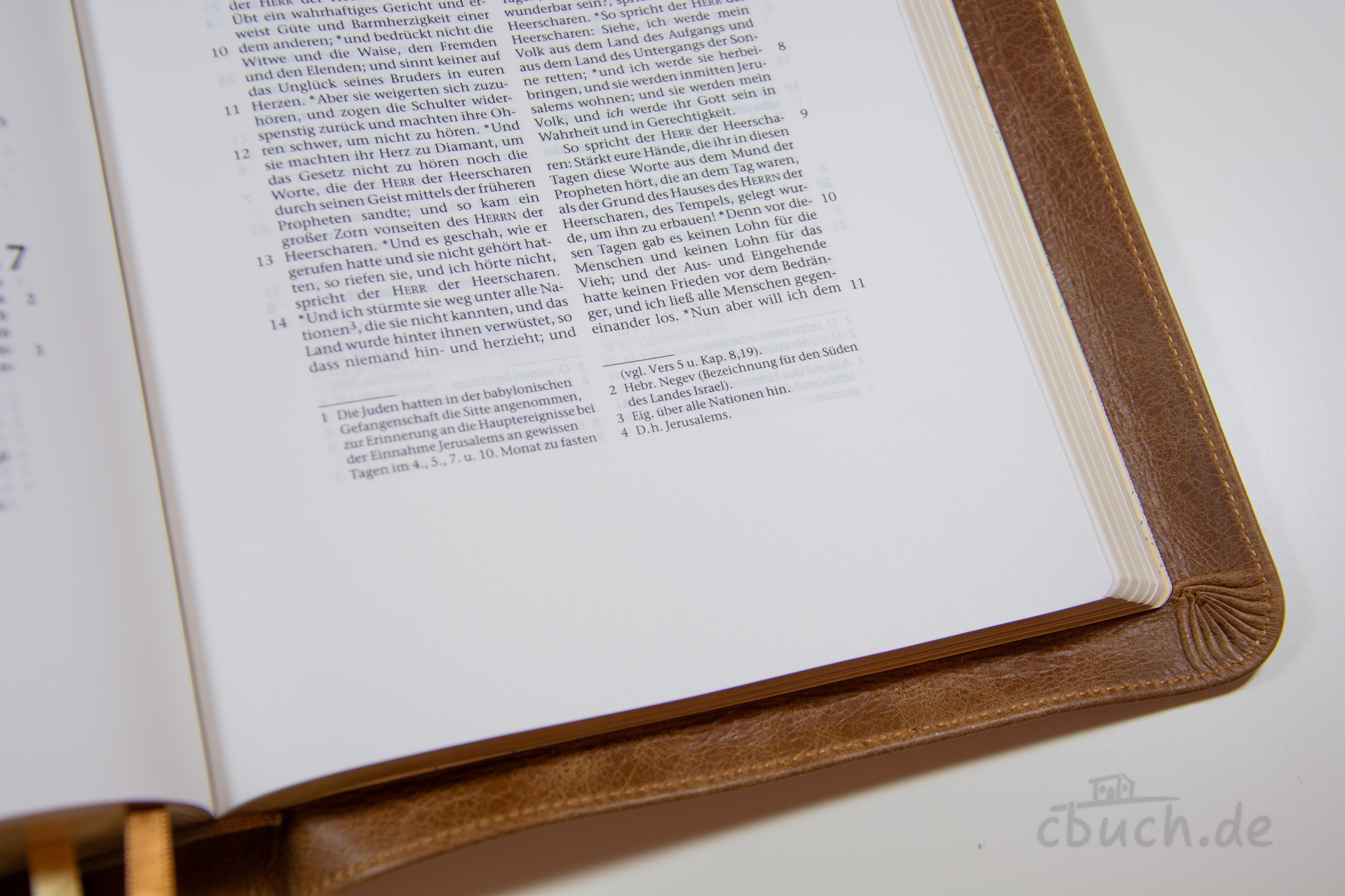 Elberfelder Bibel Edition CSV - Schreibrandbibel, größere Ausgabe, Leder, Toffee, Goldschnitt