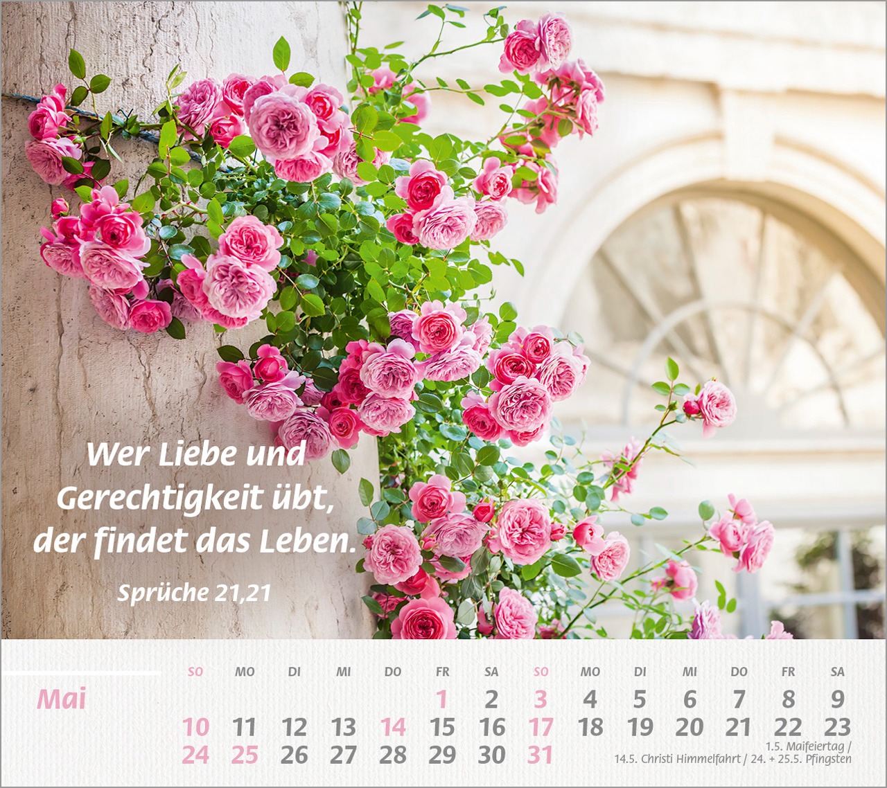 Kalenderblatt Mai mit pinken Rosen und Bibelvers Sprüche 21, Kalenderblatt Mai mit pinken Rosen und Bibelvers Sprüche 21,