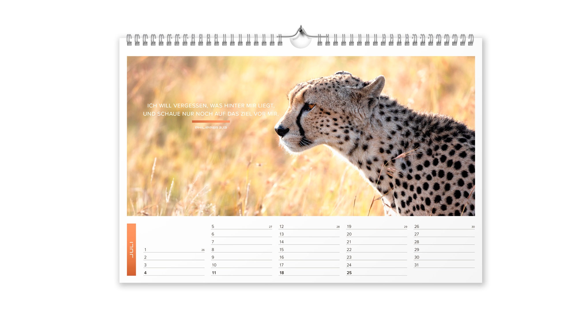 Life is more 2027 - Wandkalender Mittelgroß