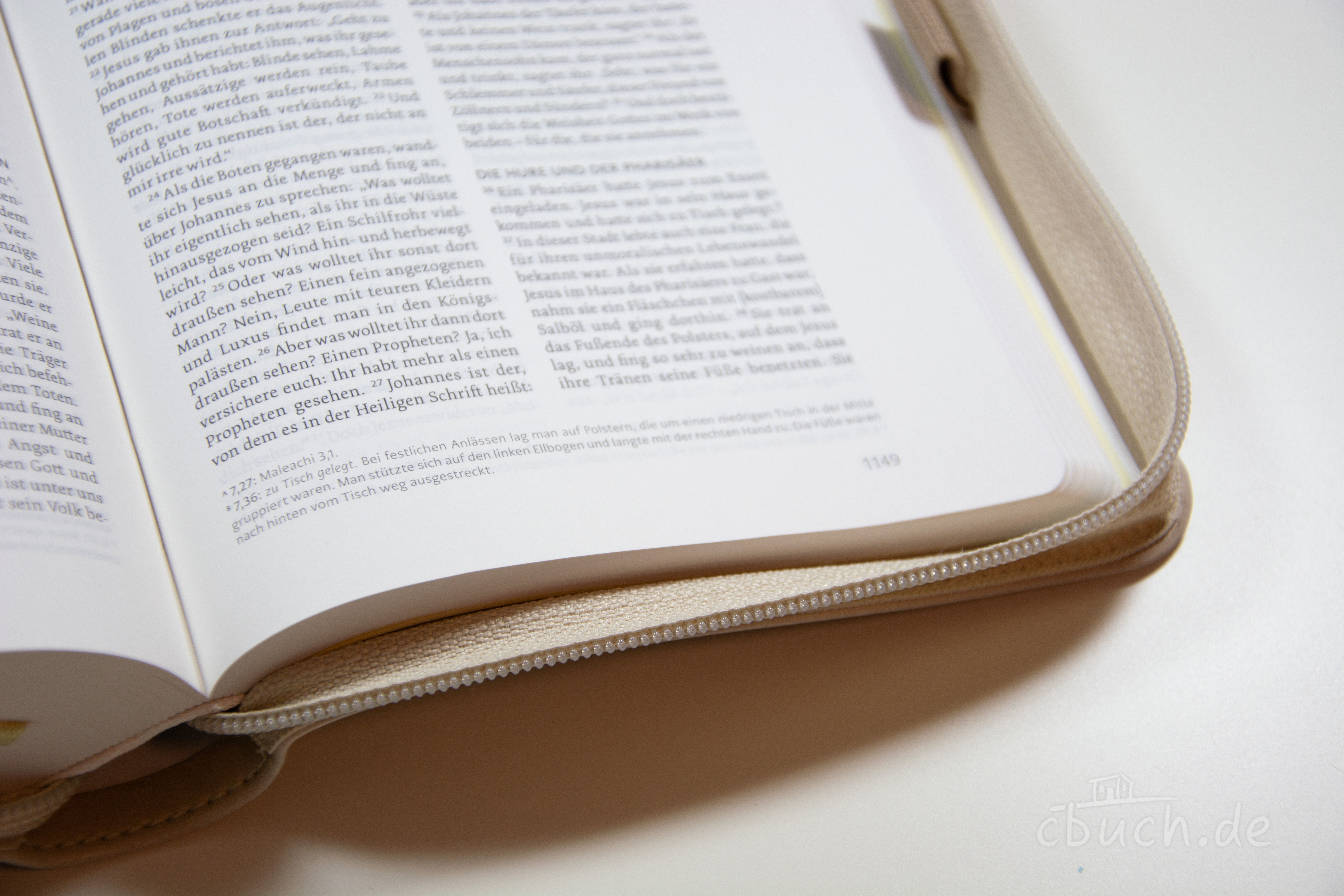 Life Lion Bibel NeÜ bibel.heute - beige