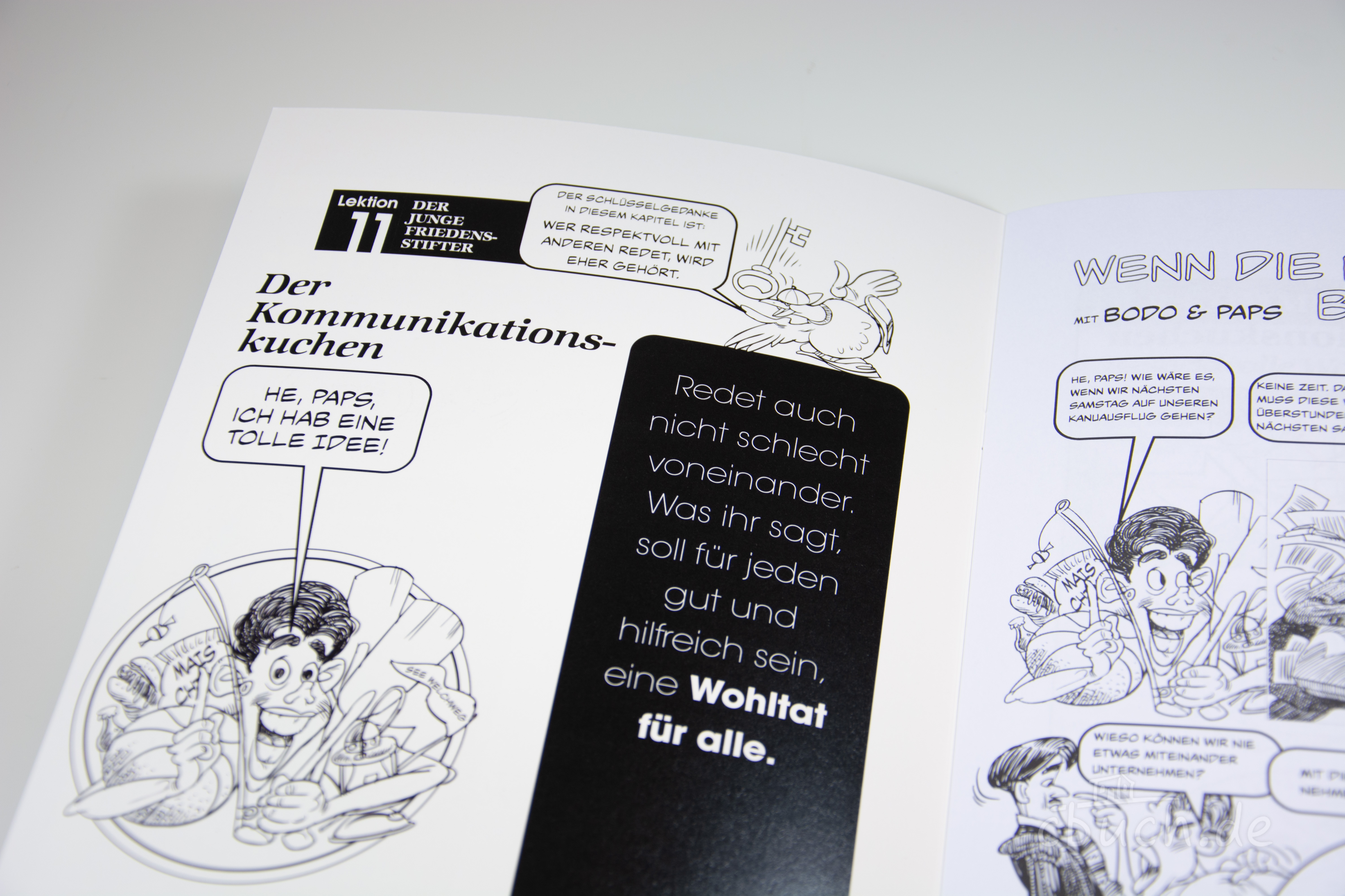 Handbuch für Friedensstifter - Comic Heft 11: Wenn die Bootsfahrt baden geht (Teil 2)